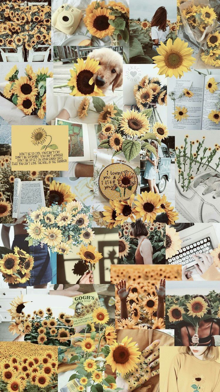 N A T H A L I A D I N I Z ✧ • Fotos e vídeos do Instagram. Sunflower wallpaper, Aesthetic iphone wallpaper, Collage background