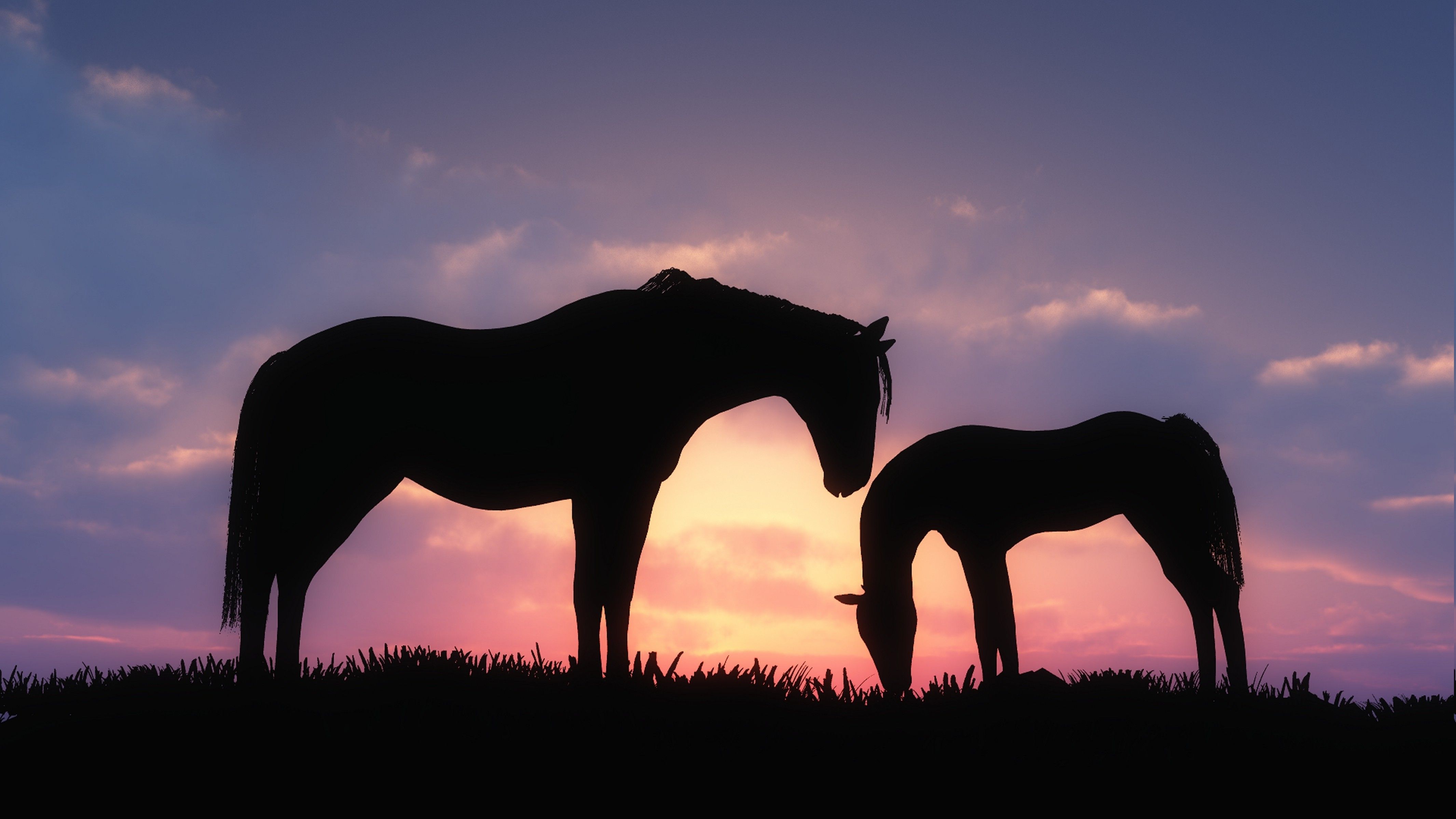 horse, Animals, Baby Animals, Sunset, Silhouette Wallpaper HD / Desktop and Mobile Background