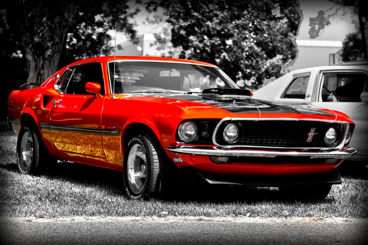 Free download 69 Mustang Mach 1 Wallpaper Mustang mach 1 1969 by [1280x853] for your Desktop, Mobile & Tablet. Explore 69 Mustang Wallpaper. Mustang Wallpaper, 69 Camaro Wallpaper, 69 Dodge Charger Wallpaper