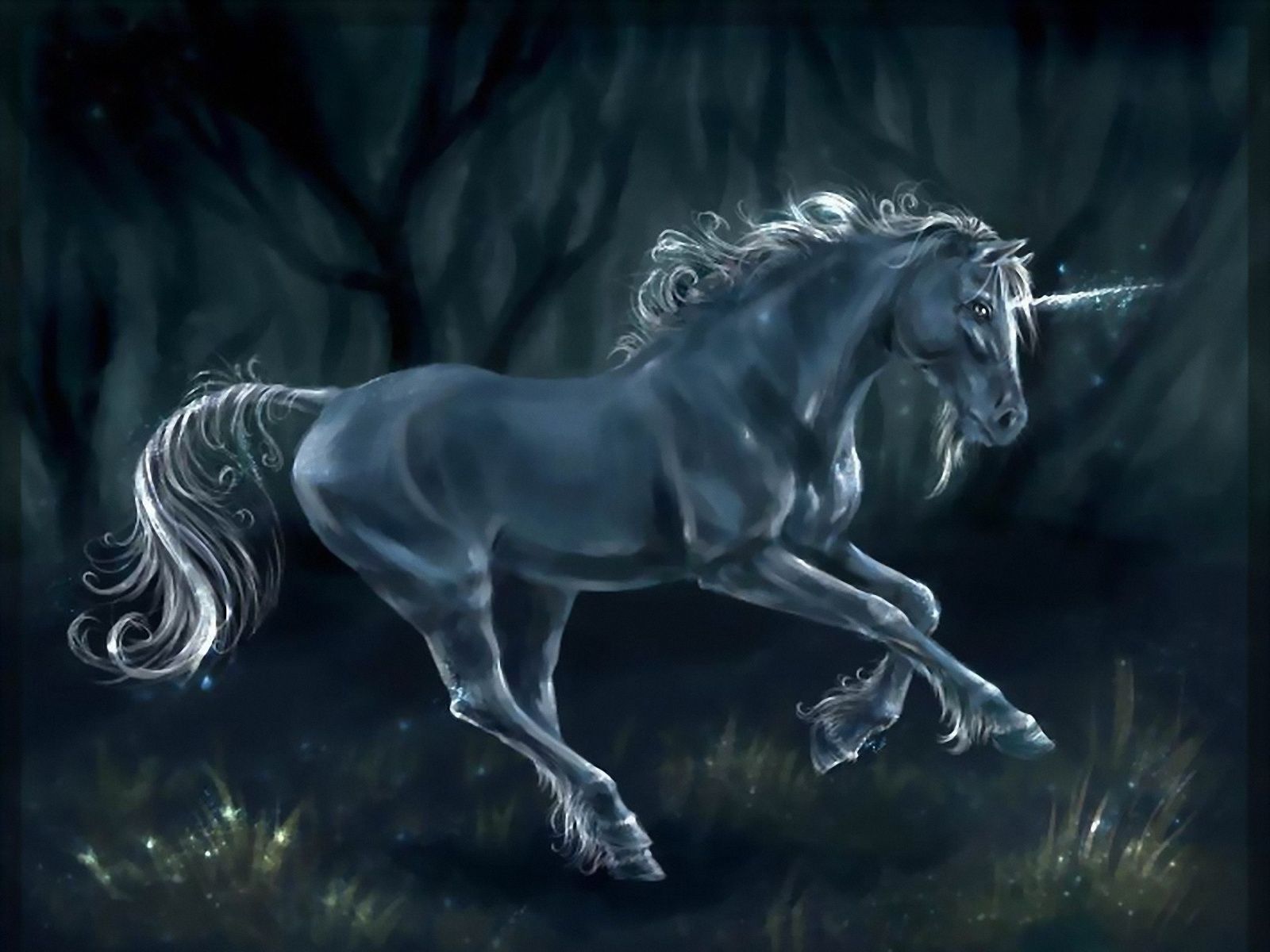 Unicorn horse magical animal rw wallpaperx1200
