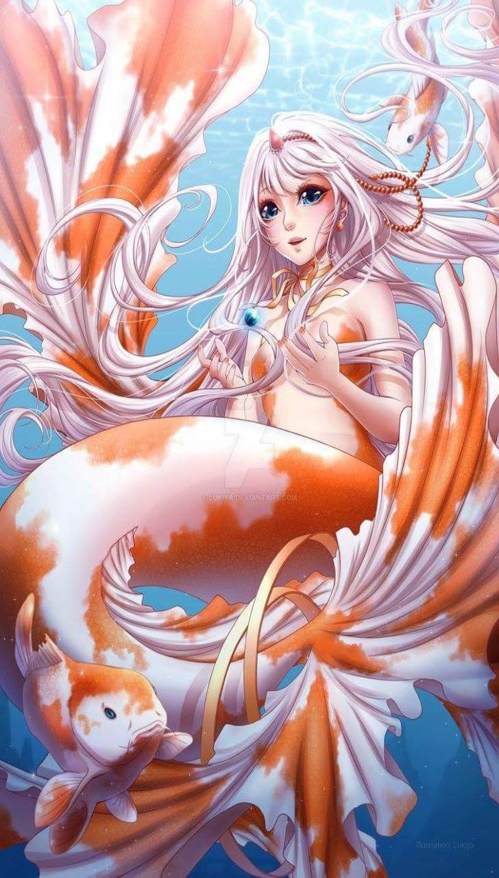 Koi Mermaid wallpaper