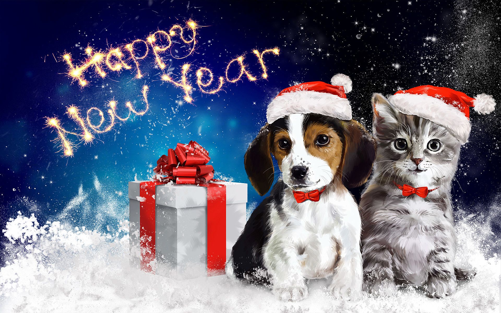 Happy puppy and kitten in the new year. Wallpaper the most beautiful dogs in the world. Puppy, kitten