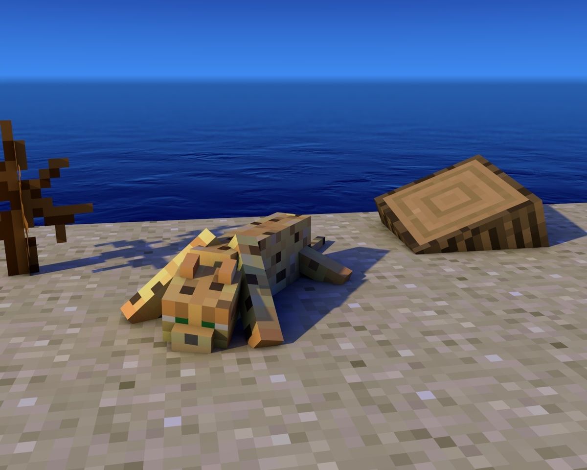 Free download Minecraft Ocelot Wallpaper Locelot sest finalement [1200x960] for your Desktop, Mobile & Tablet. Explore Minecraft Ocelot Wallpaper. Minecraft Ocelot Wallpaper, Ocelot Wallpaper, Revolver Ocelot Wallpaper