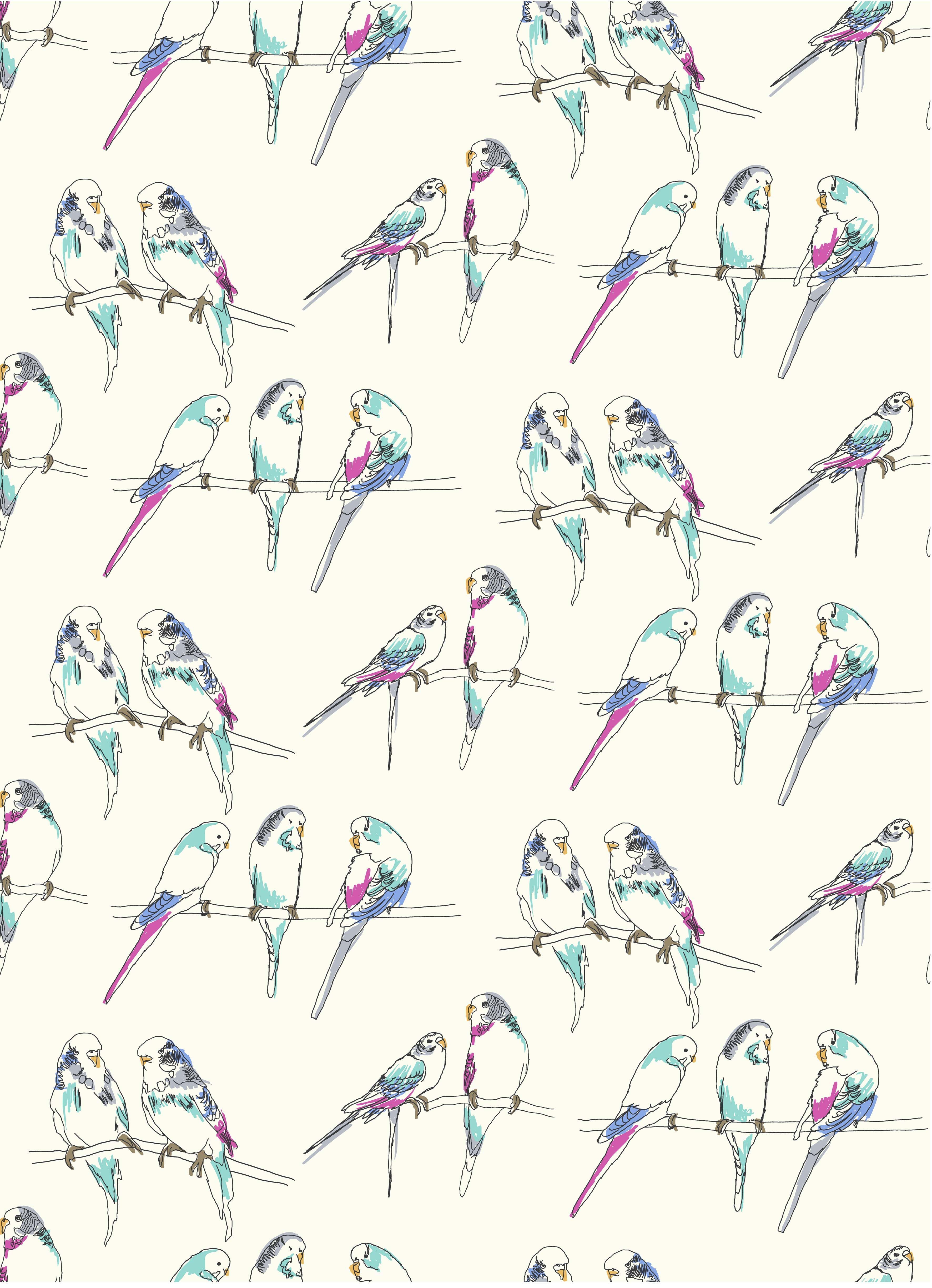 Budgies iPhone wallpaper. Budgerigar, Parakeet art, Bird art