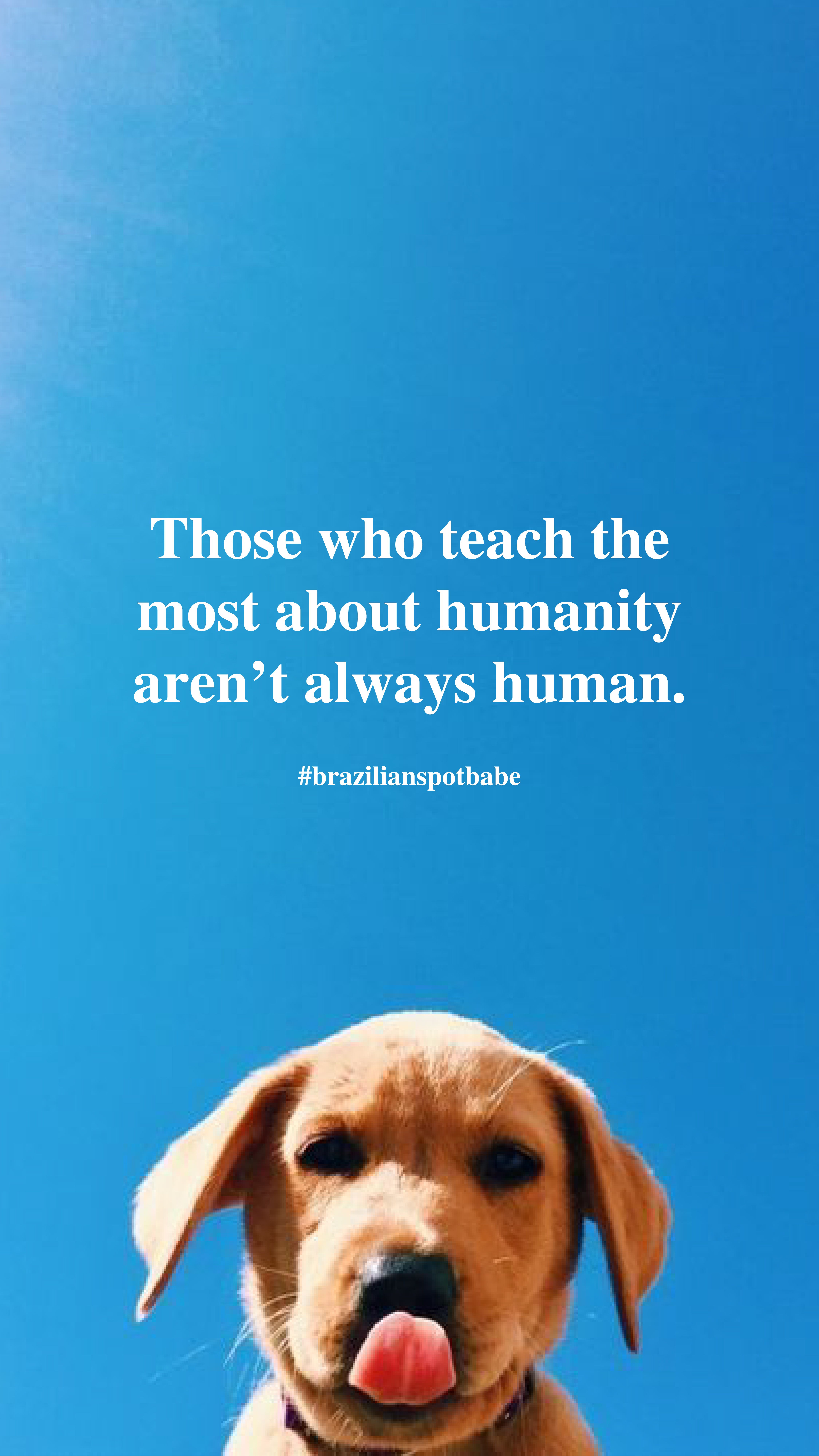 Dog Love. Dog love, Dogs, iPhone wallpaper vsco