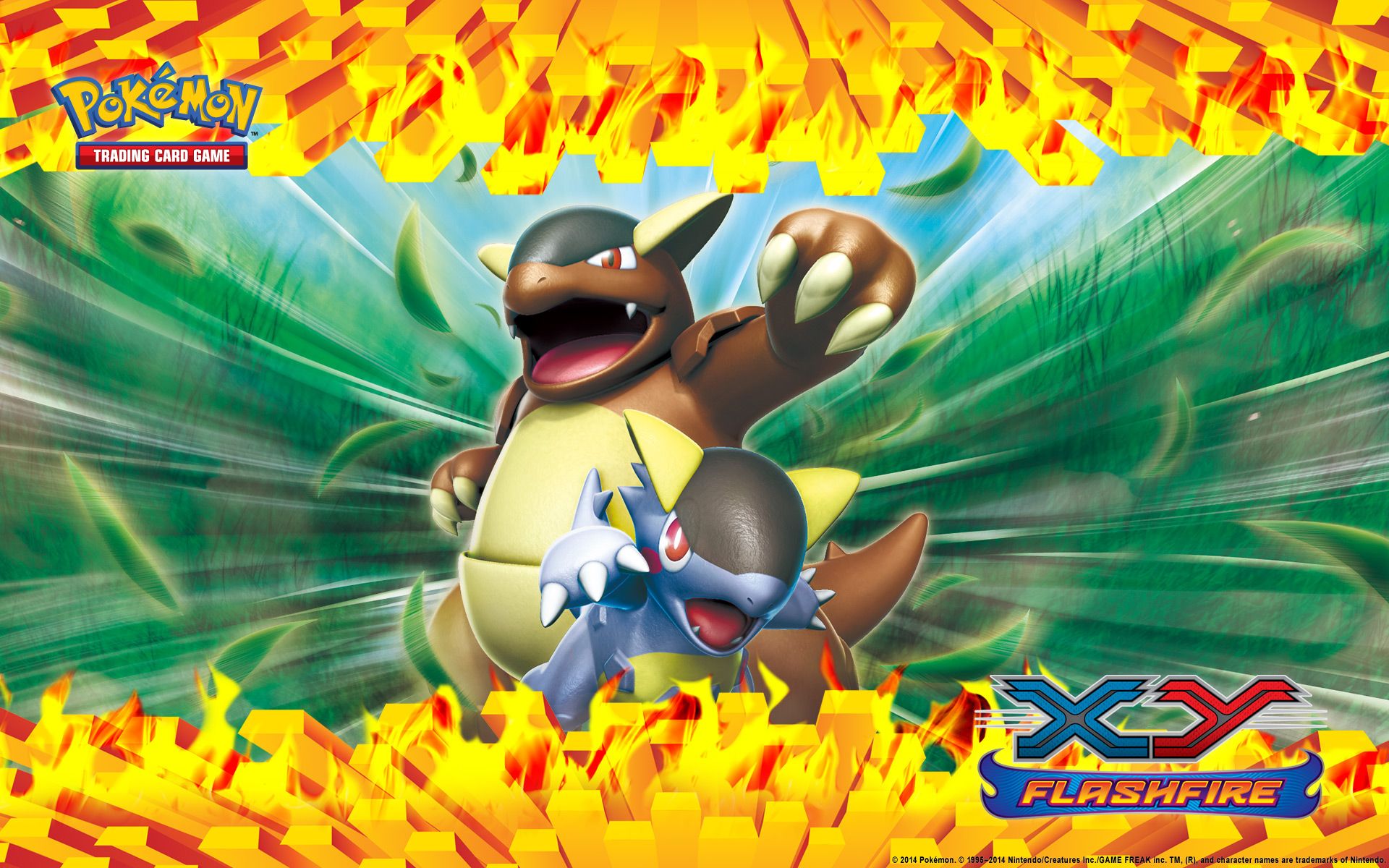 Pokemon Trading Card Game Xy HD Wallpaper