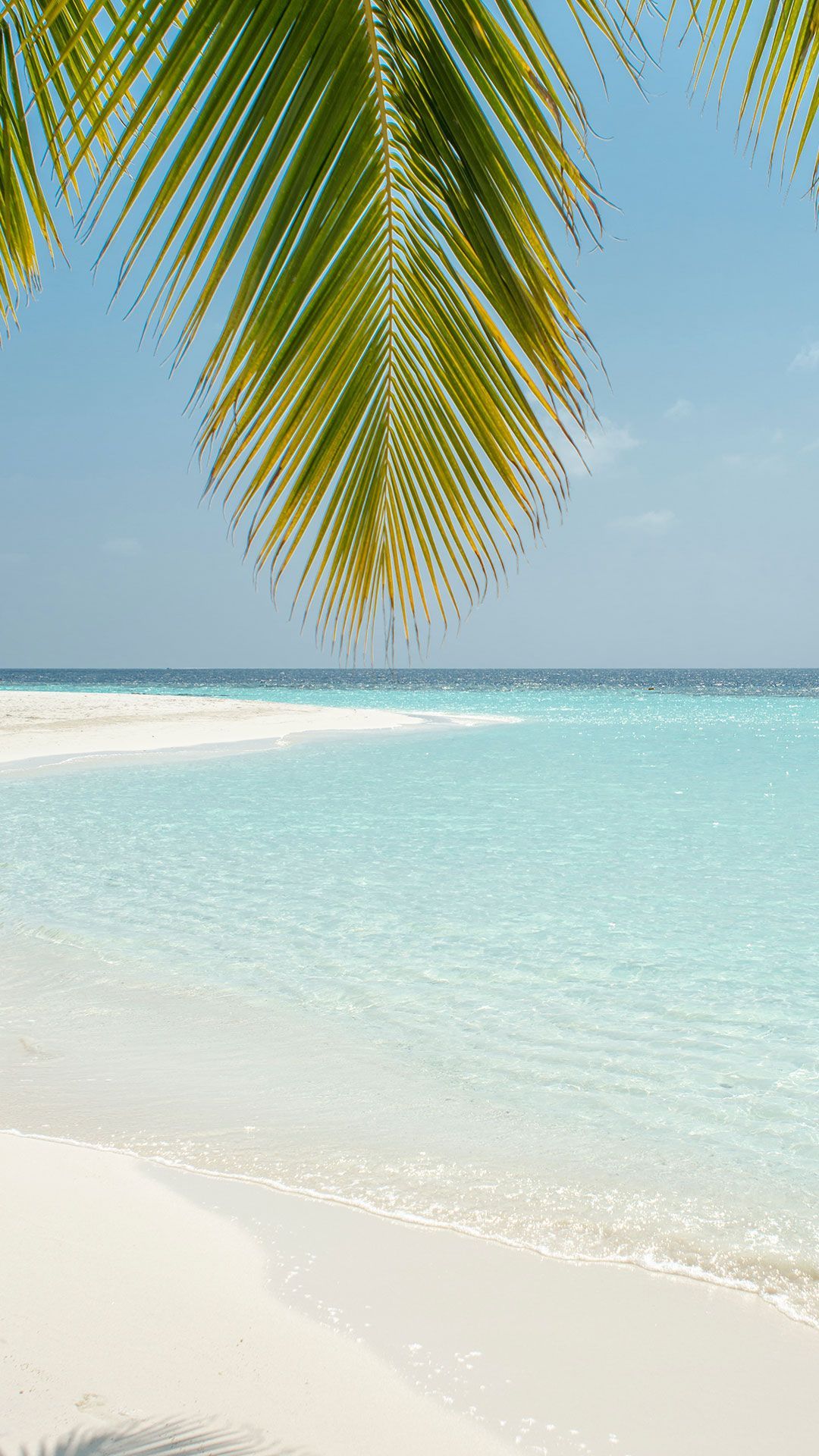 (Free) Beach Wallpaper for Your Phone & Desktop. Summer beach wallpaper, Beach scenery, Beach wallpaper