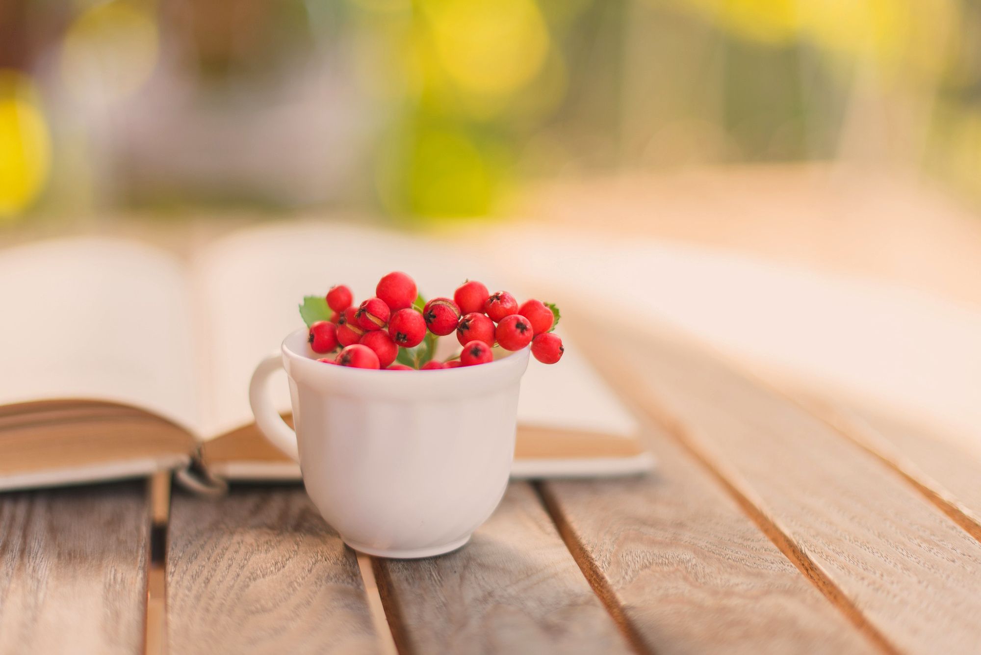 cup, red, table, book, autumn, rowan, berries desktop wallpaper 4364