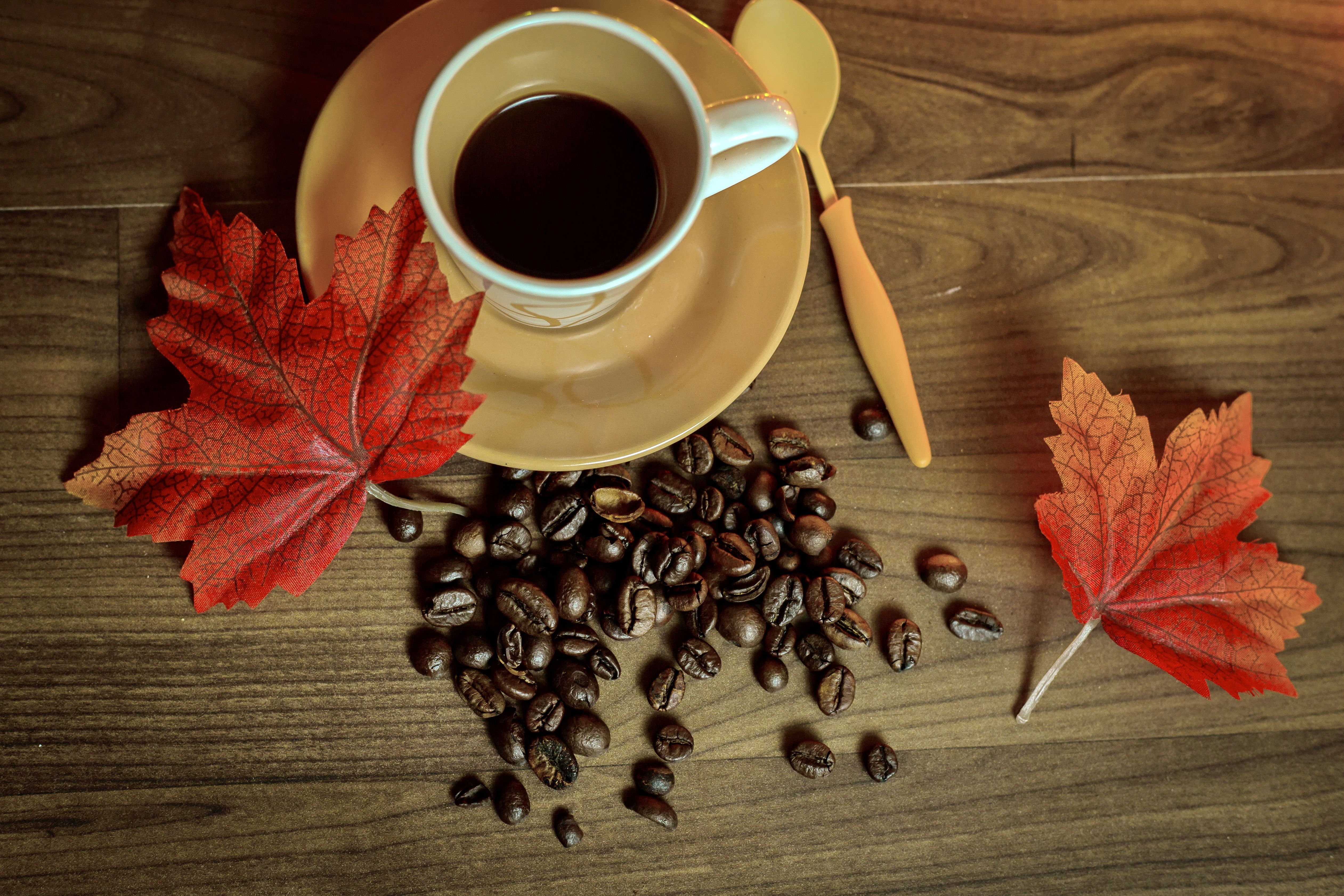Wallpaper download autumn, coffee, cup, book, leaves resolution 5045x3363