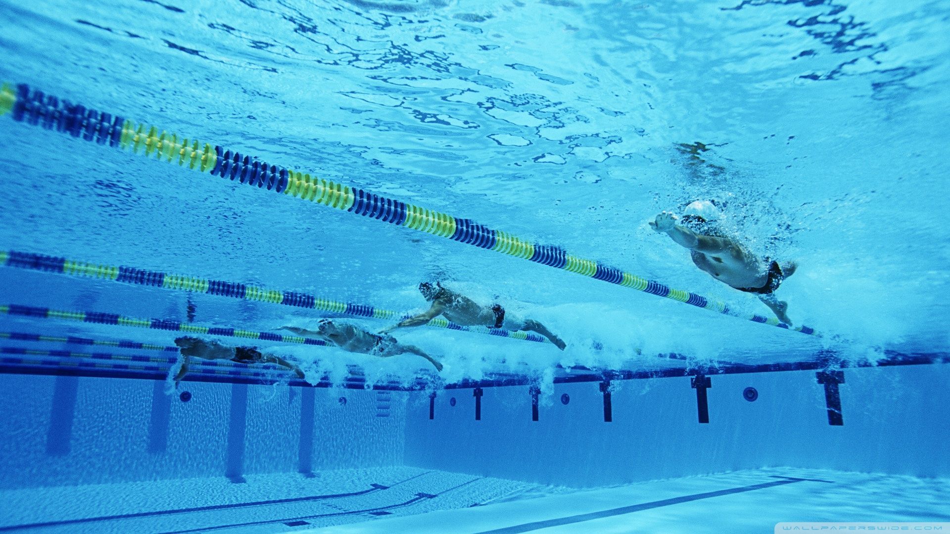 Swimmer Desktop Wallpaper
