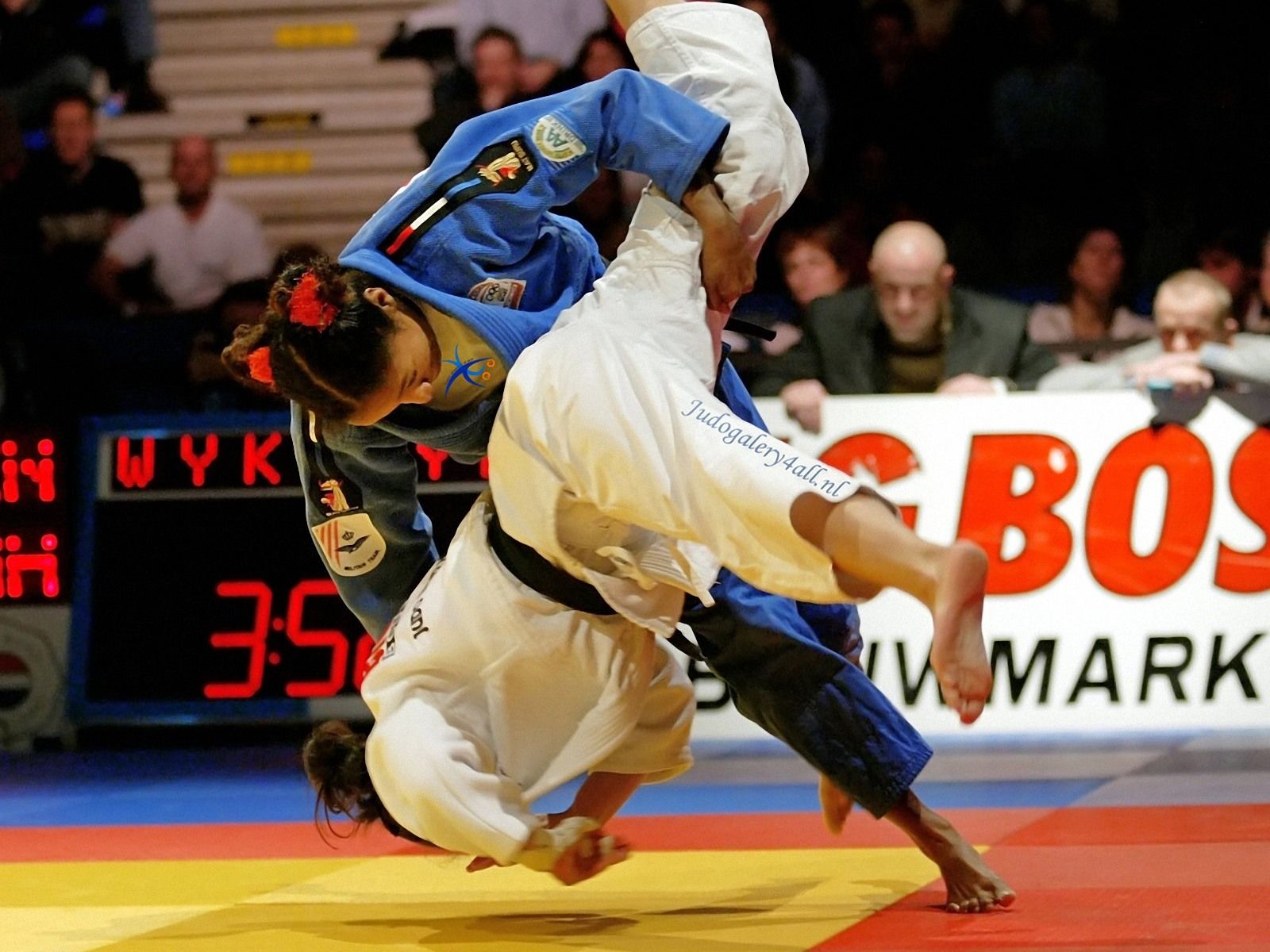 Judo Background for PC Top Background