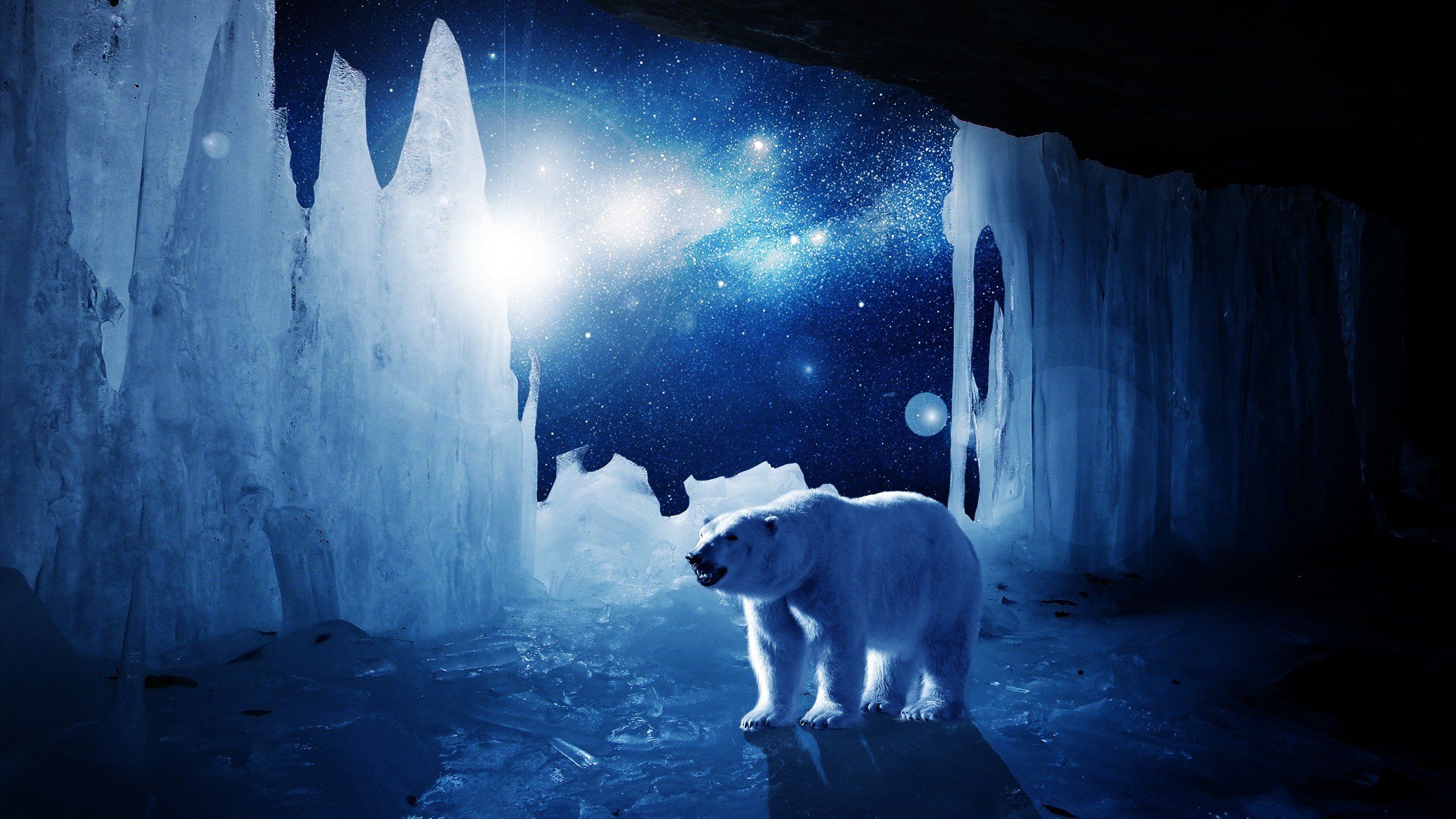 Polar bear ice winter stars blue artwork wallpaperx1440