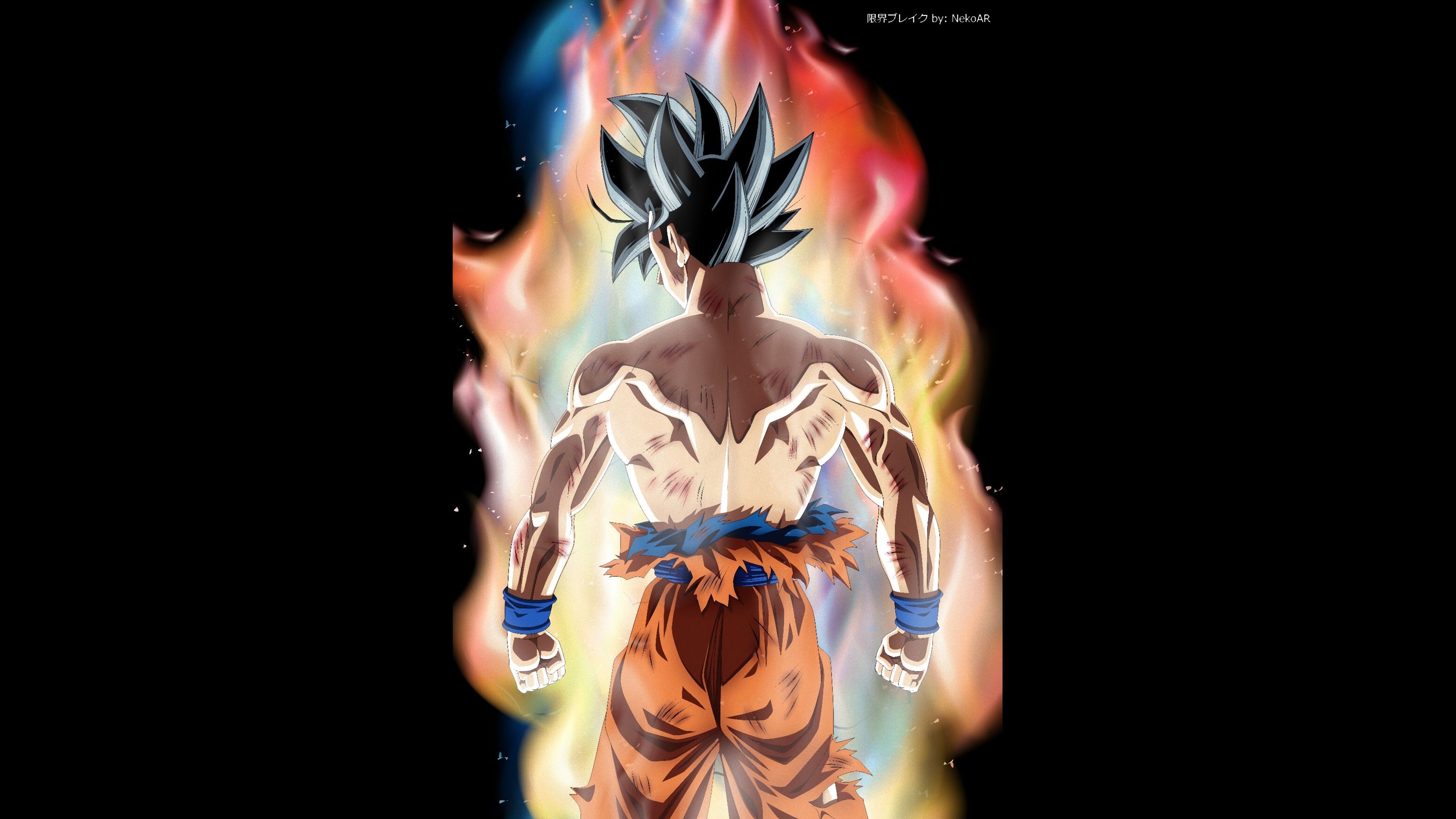 universal survival arc goku