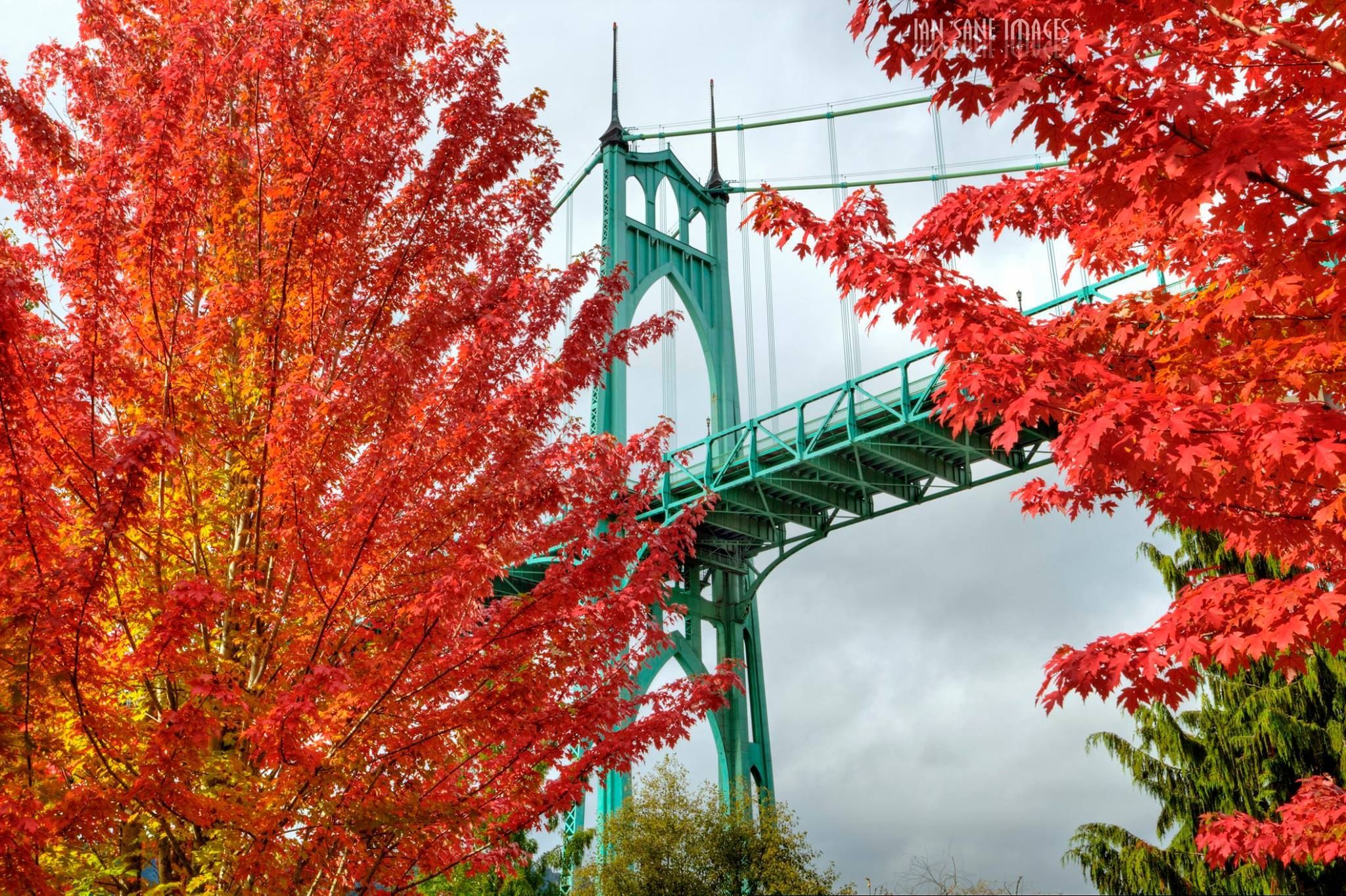 Autumn colors and St. John's Bridge, Oregon. Photo Credit: Ian Sane. Fall colors, Fall foliage, Seattle japanese garden