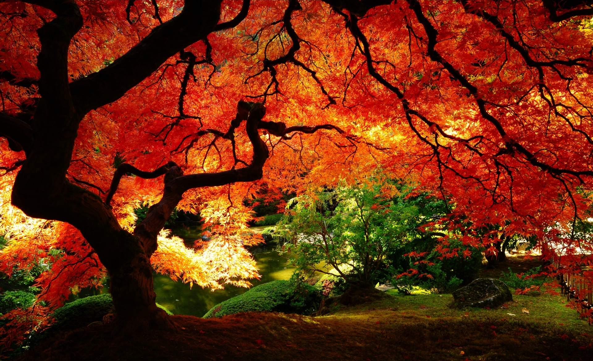 japanese gardens in portland, oregon, united states. Beautiful nature, Autumn scenery, Fall wallpaper