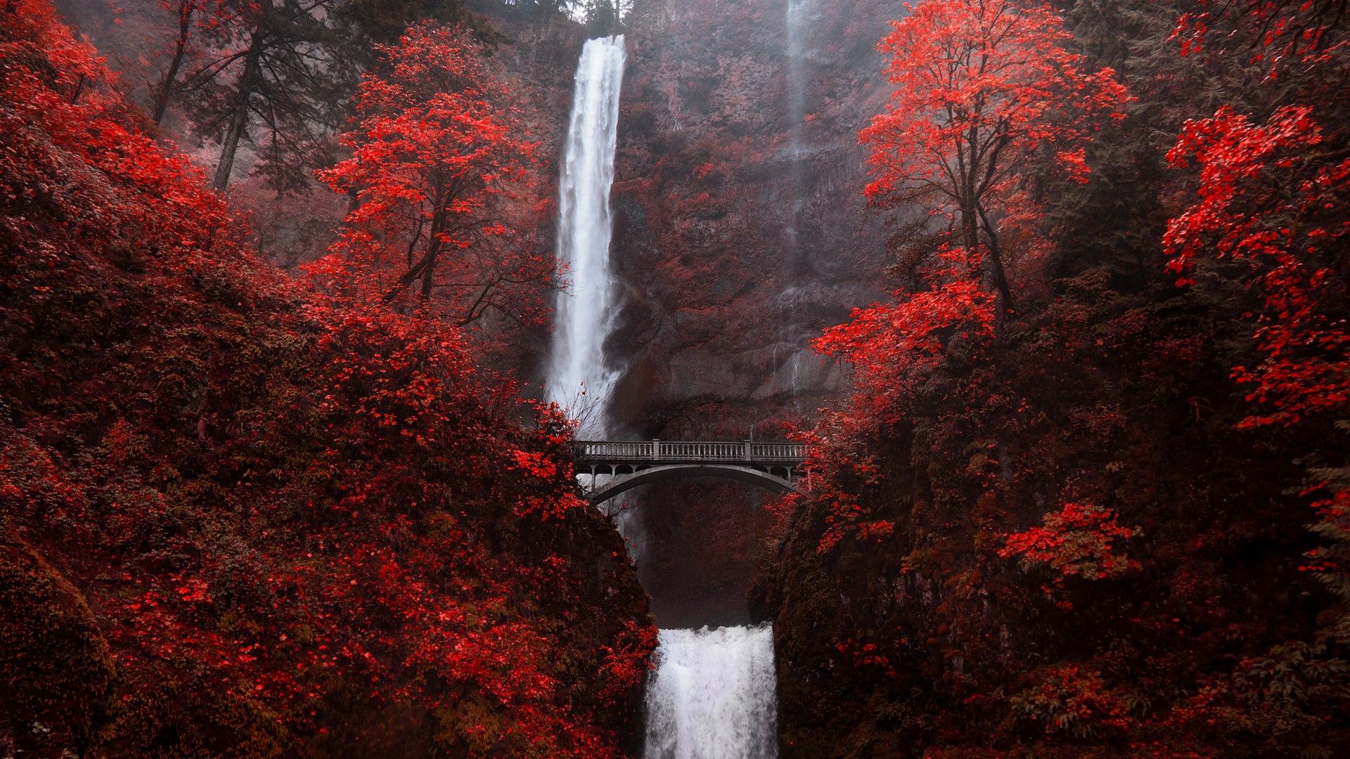 Multnomah Falls waterfall bridge in autumn red, Portland, Oregon, USA. Windows 10 Spotlight Image