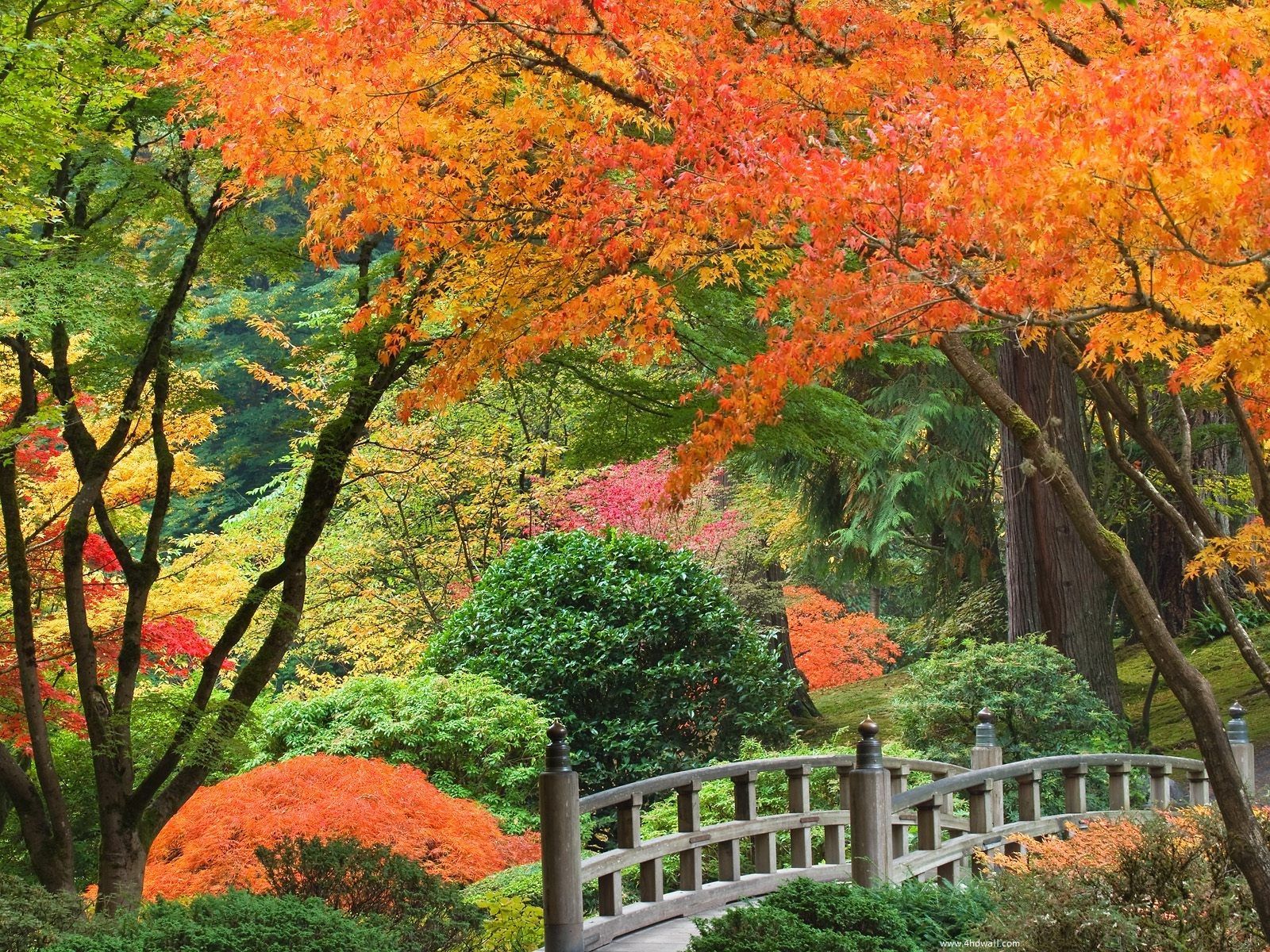 Beautiful Hd Autumn Season Desktop Wallpaper. Portland Japanese Garden, Japanese Garden, Beautiful Landscape Wallpaper