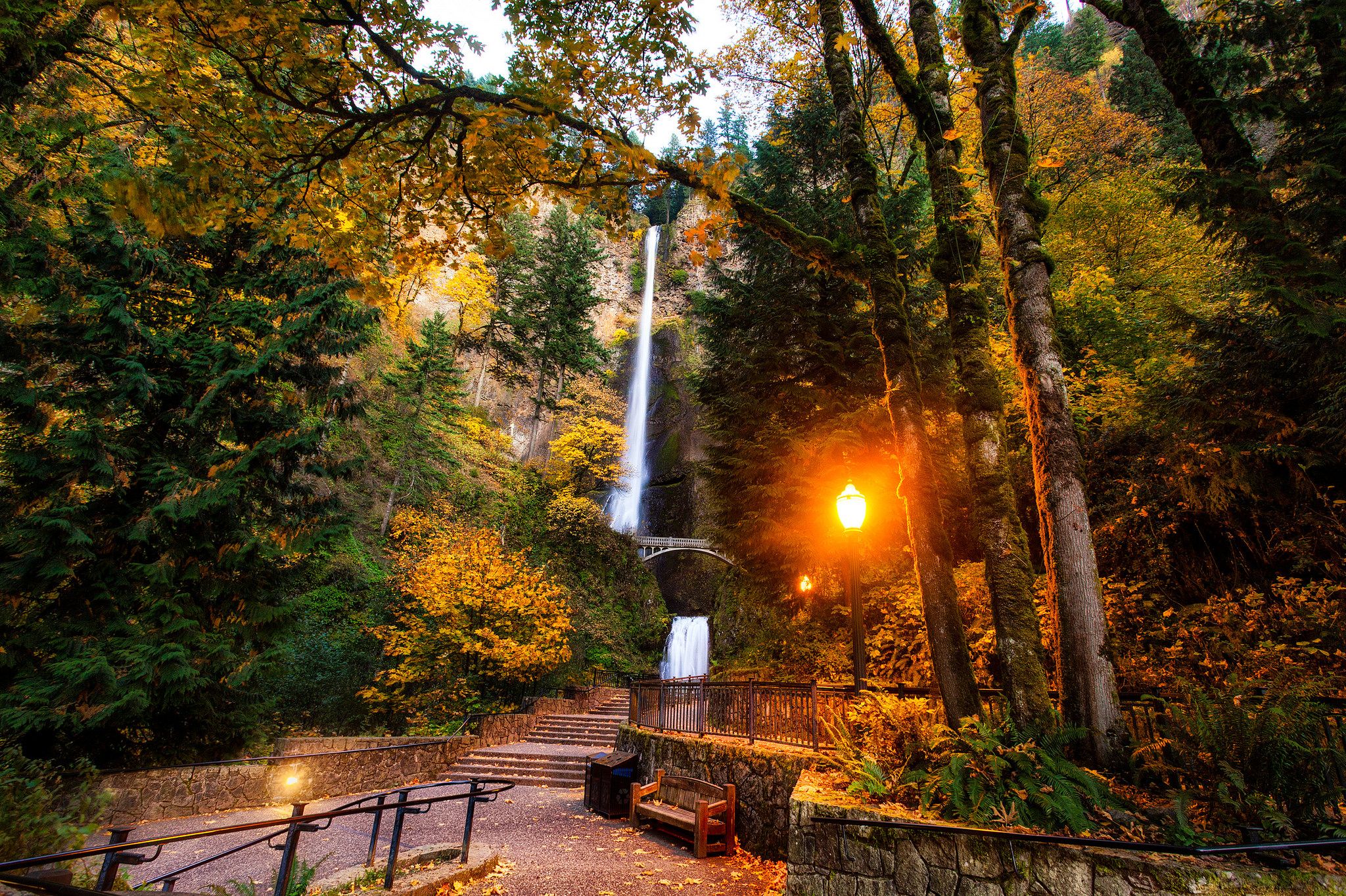 Stunning Photo Of Oregon's Fall Foliage. That Oregon Life