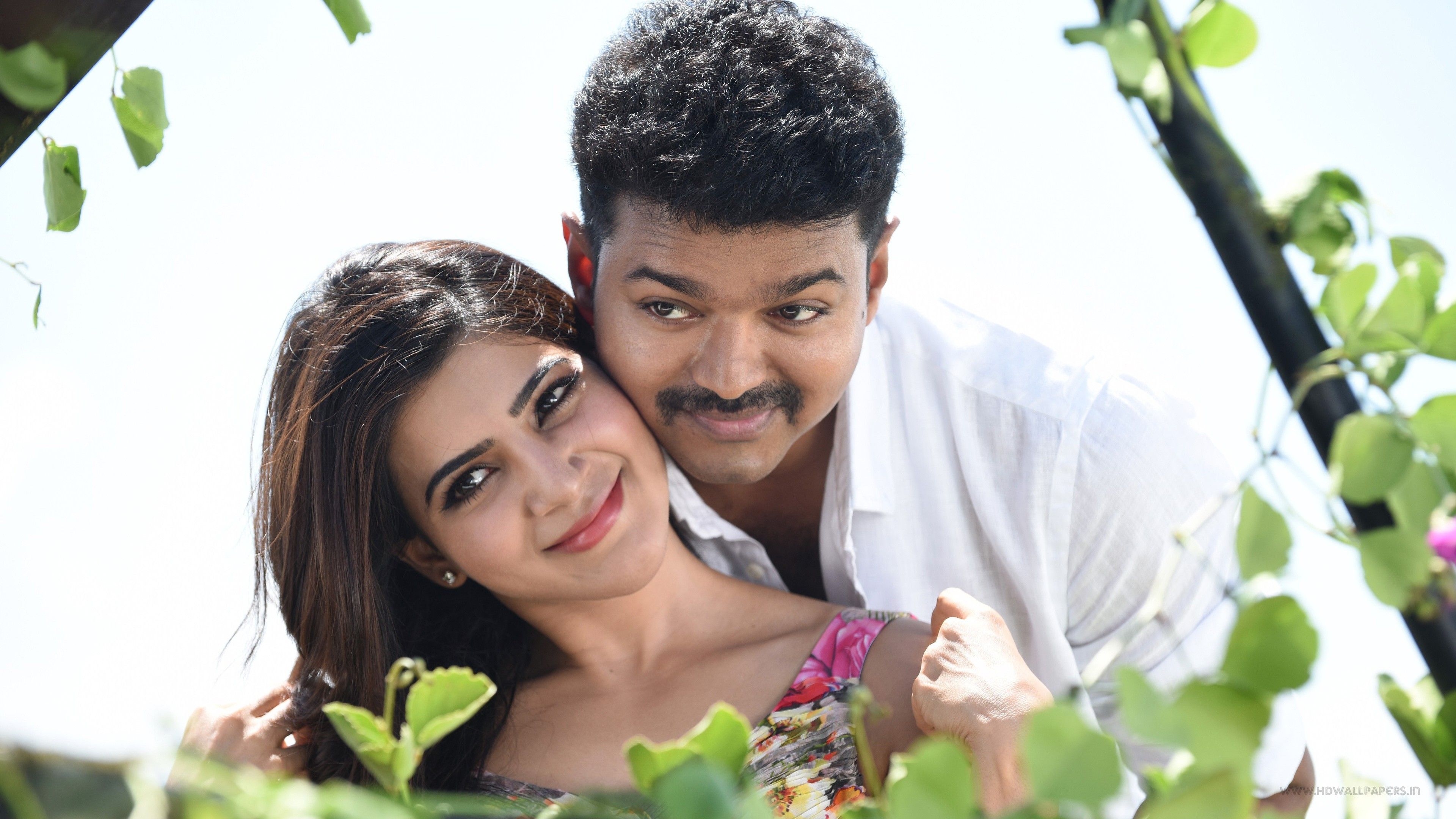 Samantha Vijay Theri Wallpaper