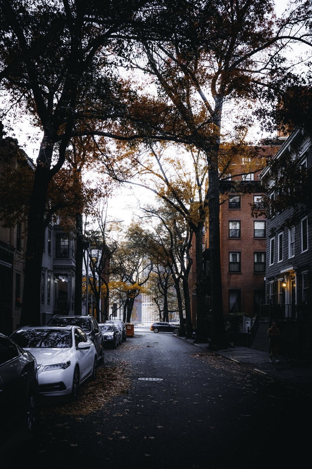 Autumn Street Picture. Download Free Image