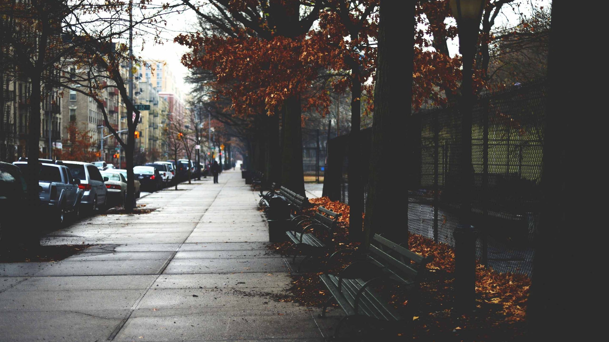 Cold Autumn Day In New York MacBook Air Wallpaper Download