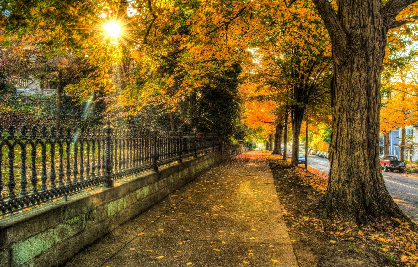 Wallpaper autumn, leaves, trees, nature, city, the city, house, street, house, architecture, trees, nature, autumn, leaves, street, architecture image for desktop, section природа