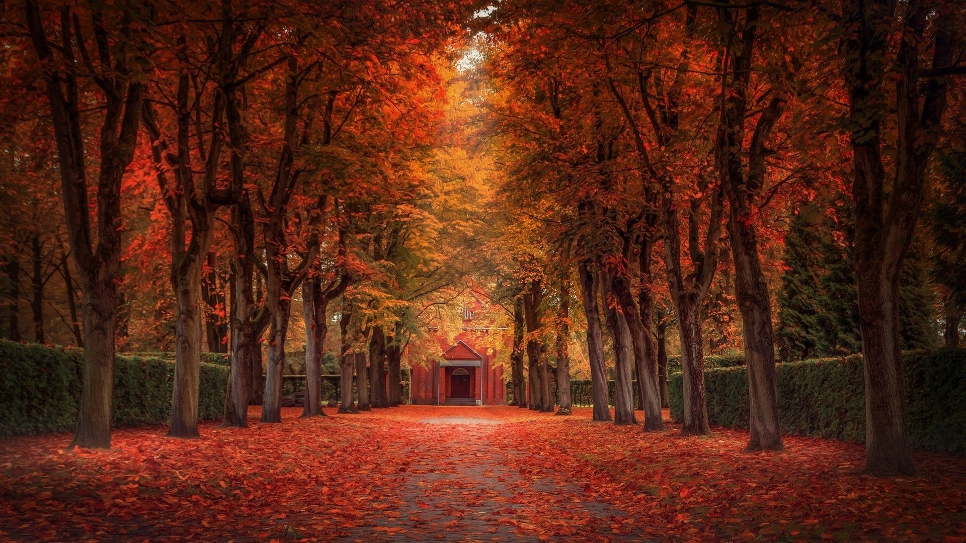 nature, Landscape, Fall, Leaves, Trees, Street, Park, Shrubs Wallpaper HD / Desktop and Mobile Background