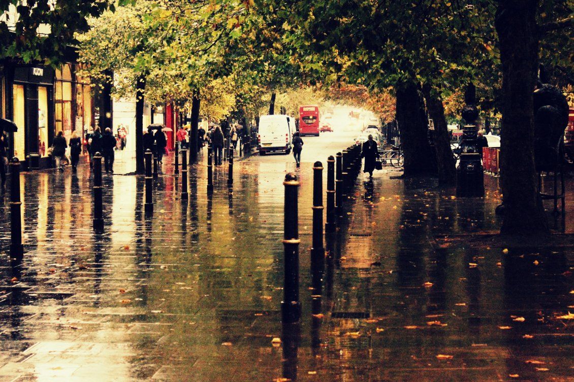 Water on the street Autumn day in the park