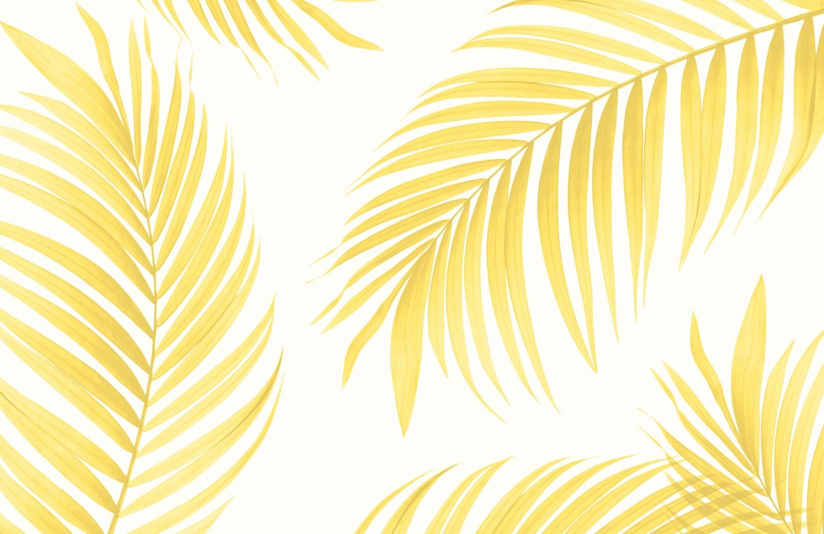 Yellow Tropical Palm Wallpaper Mural