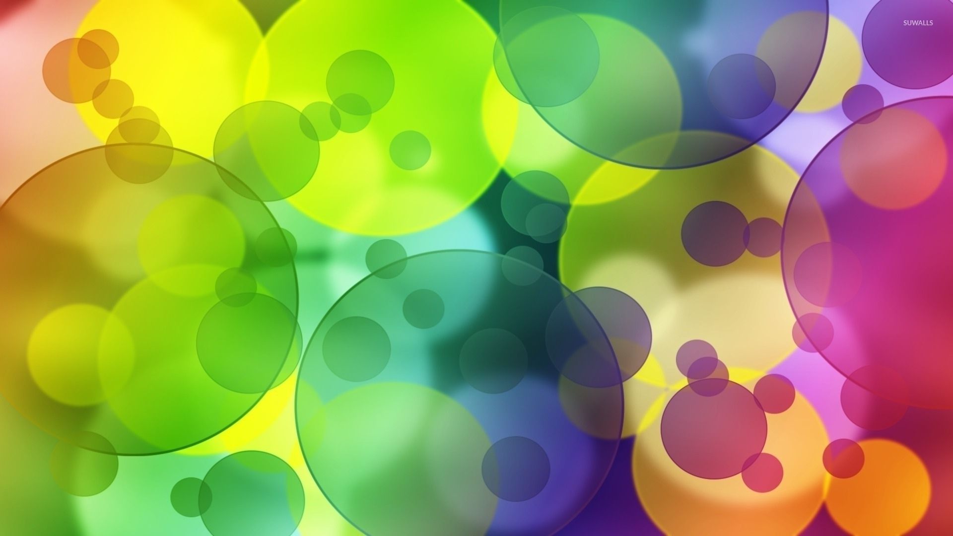 Colorful transparent bubbles wallpaper wallpaper