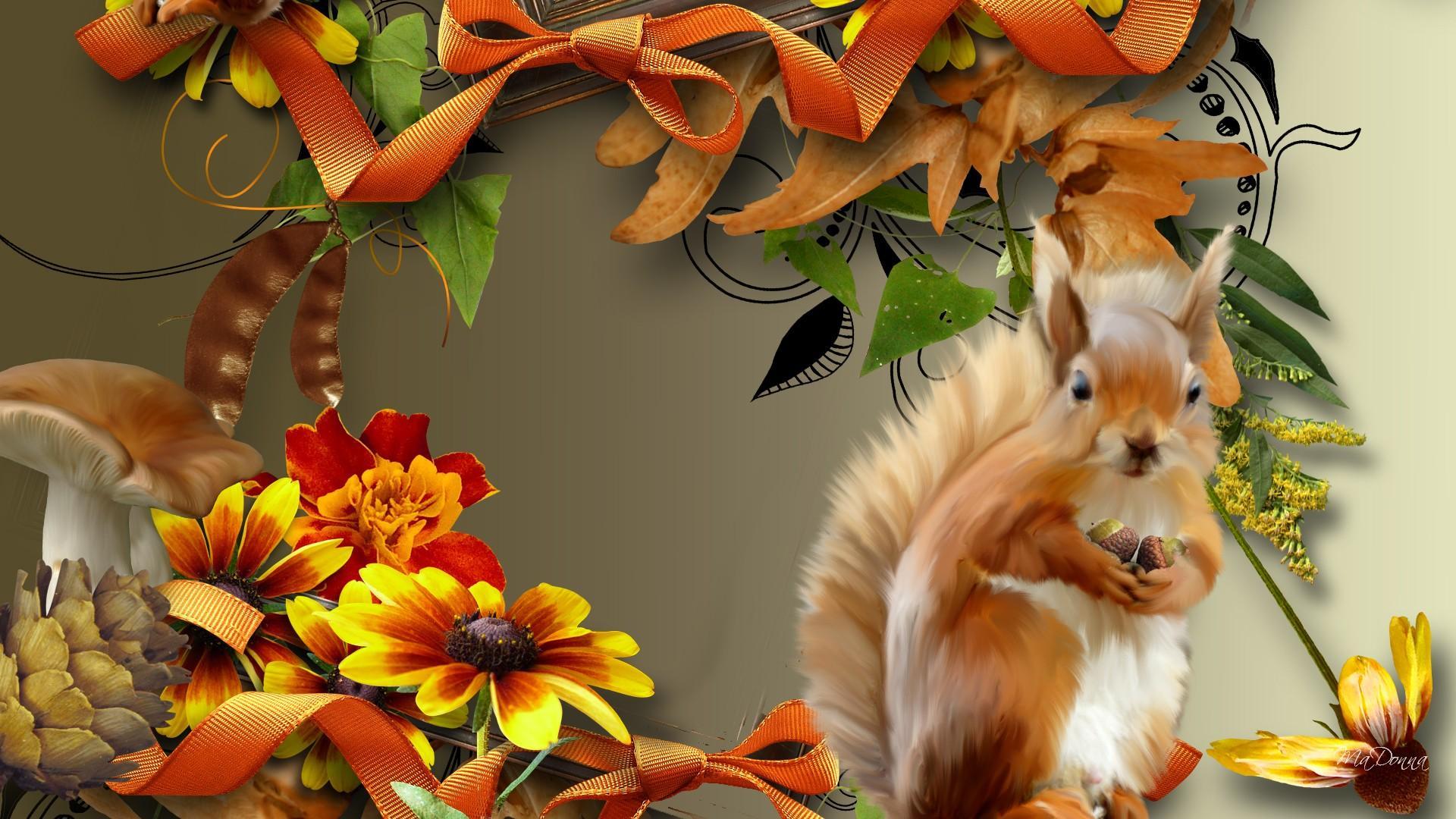 Autumn Squirrel HD desktop wallpaper, Widescreen, High Definition