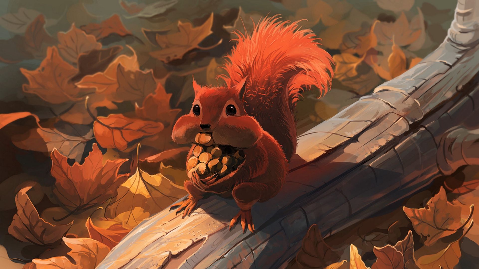 Wallpaper Squirrel, Nuts, Food, Foliage, Autumn Wallpaper HD iPhone