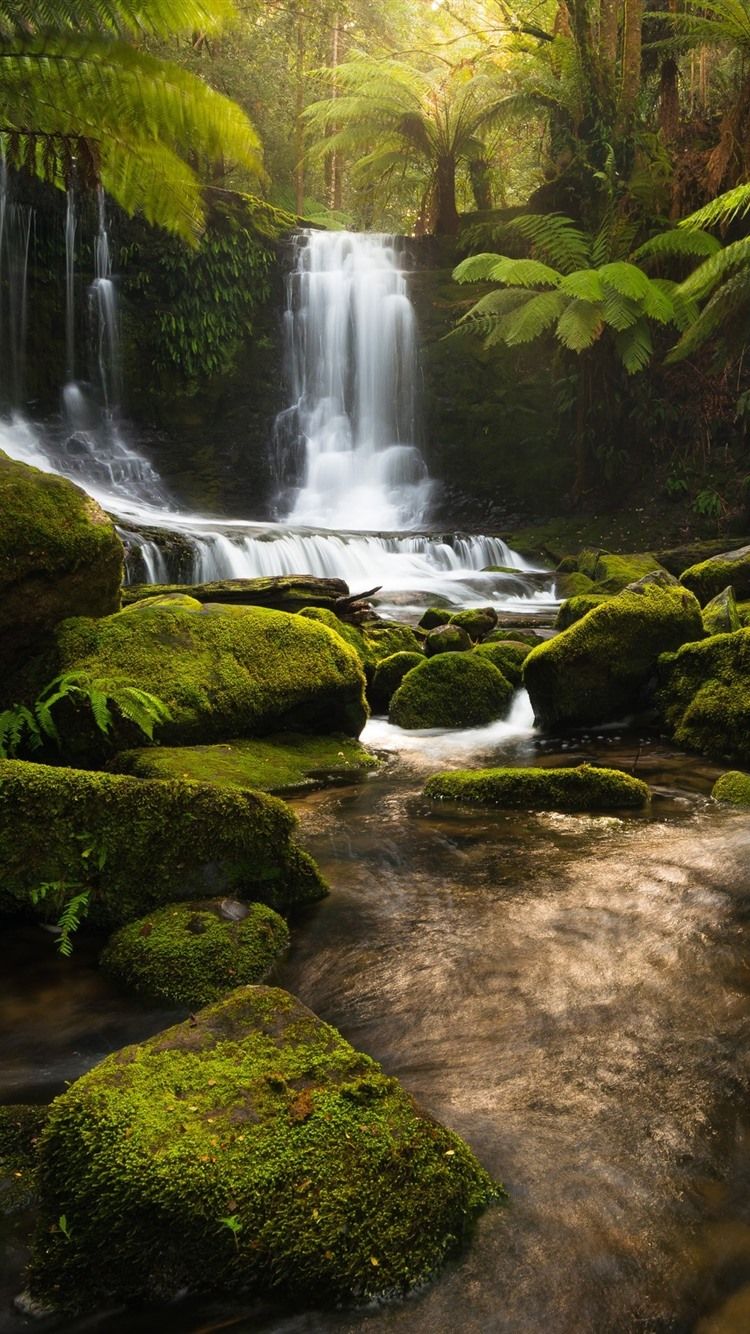 Tasmania Wallpapers  Wallpaper Cave