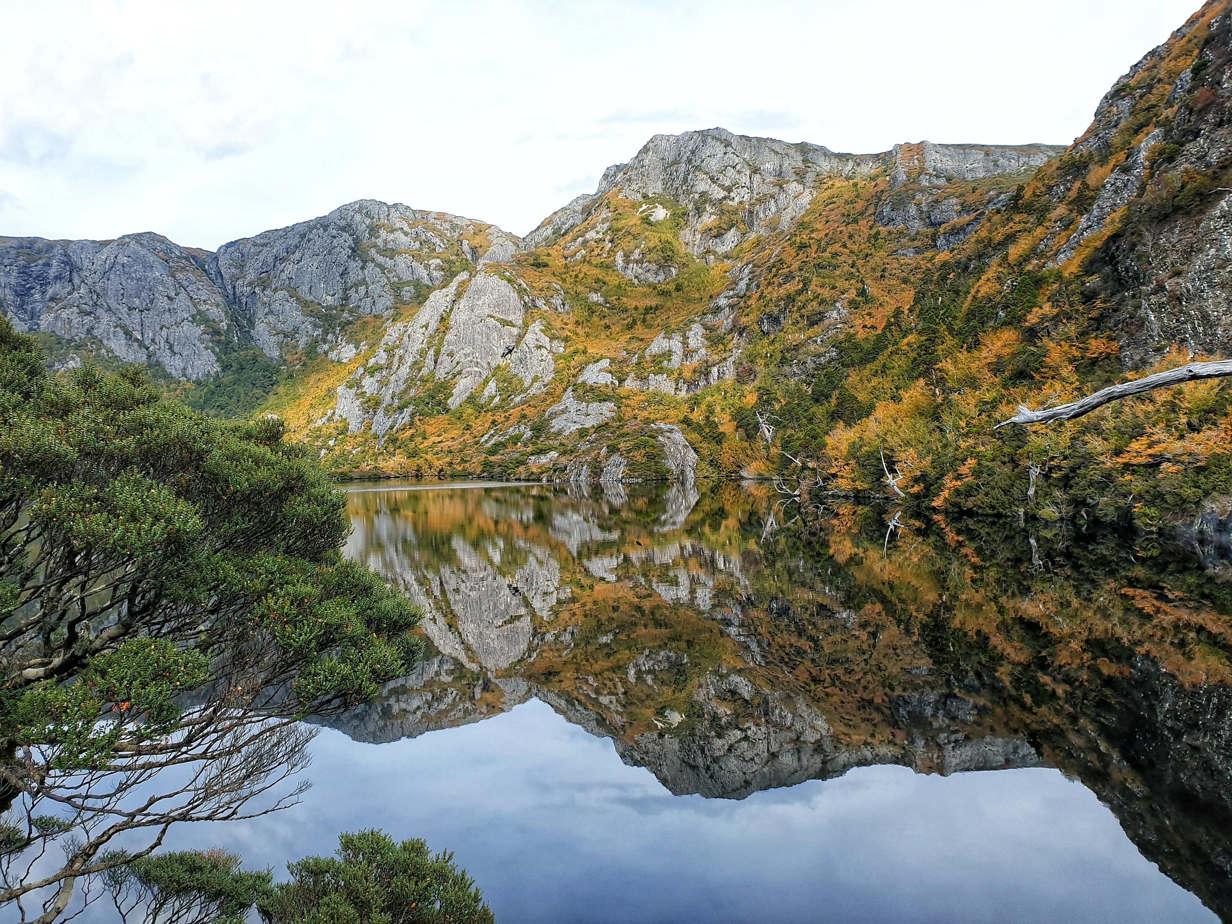 Reflections along the Cradle Mountain walk Tasmania Australia [OC] [1920x1080] #Music #IndieArtist #Ch. Australia wallpaper, Photography kit, Black forest germany