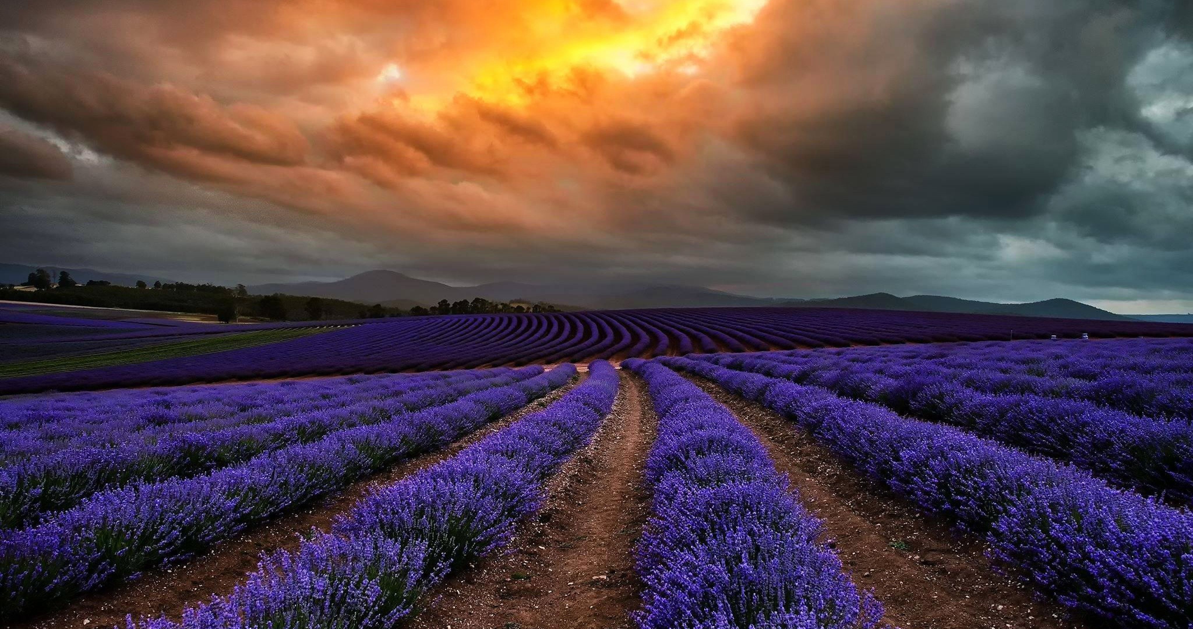 Australia, Tasmania Wallpaper 4K (4096x2160) Resolution