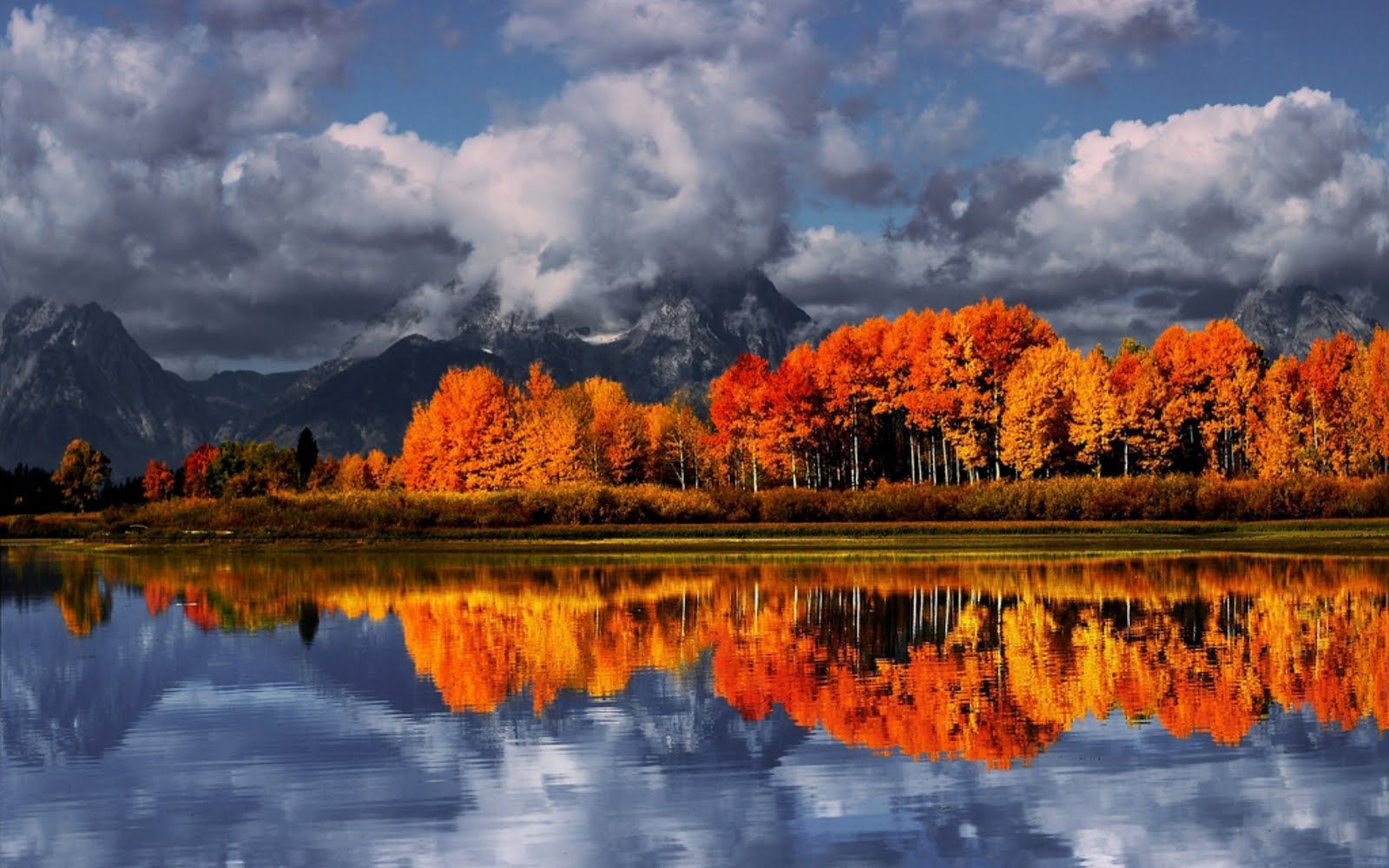 Our Beautiful Planet. Autumn landscape, Desktop background nature, Landscape trees