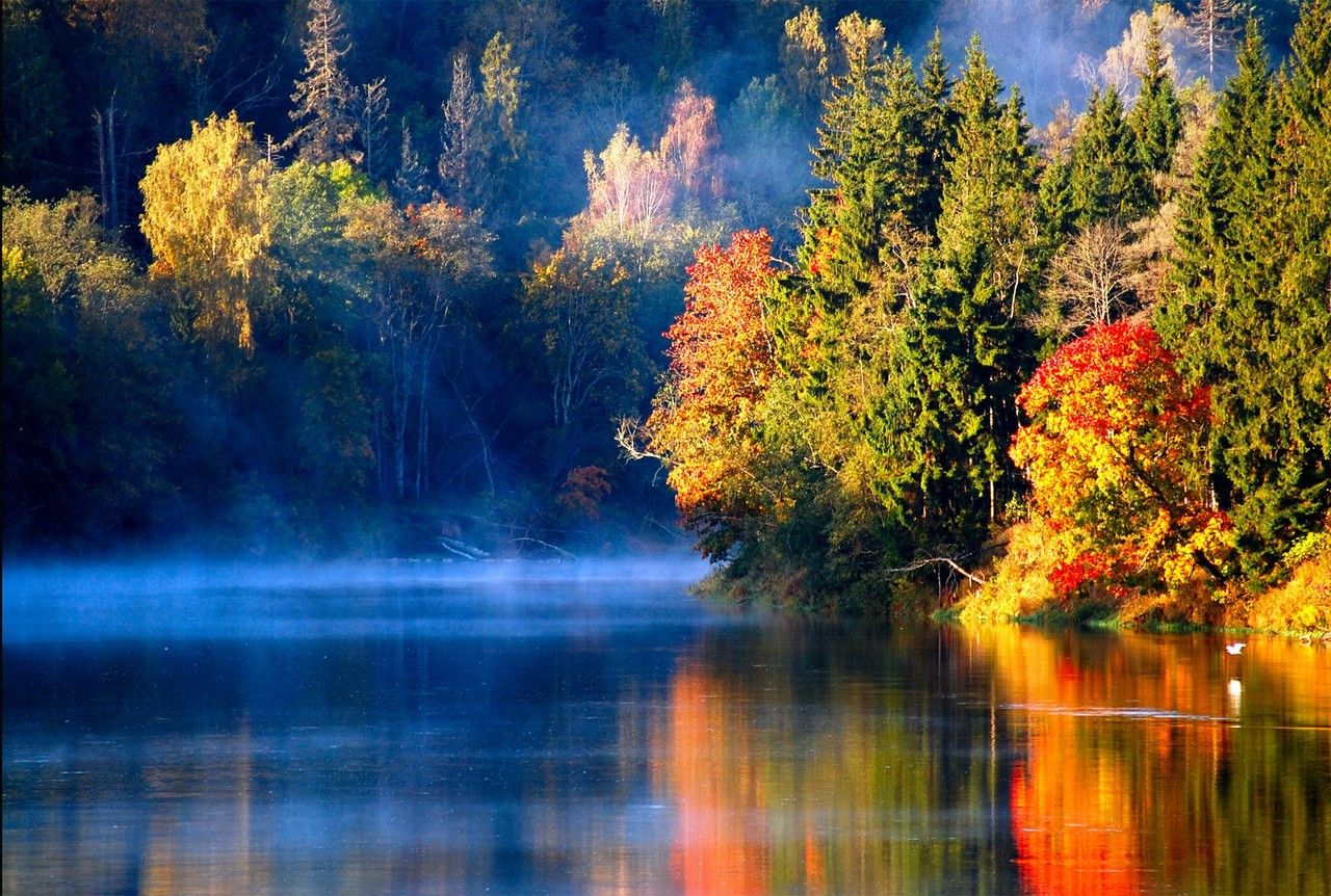 autumn, lake, forest, yellow, color, breathtaking, wallpaper
