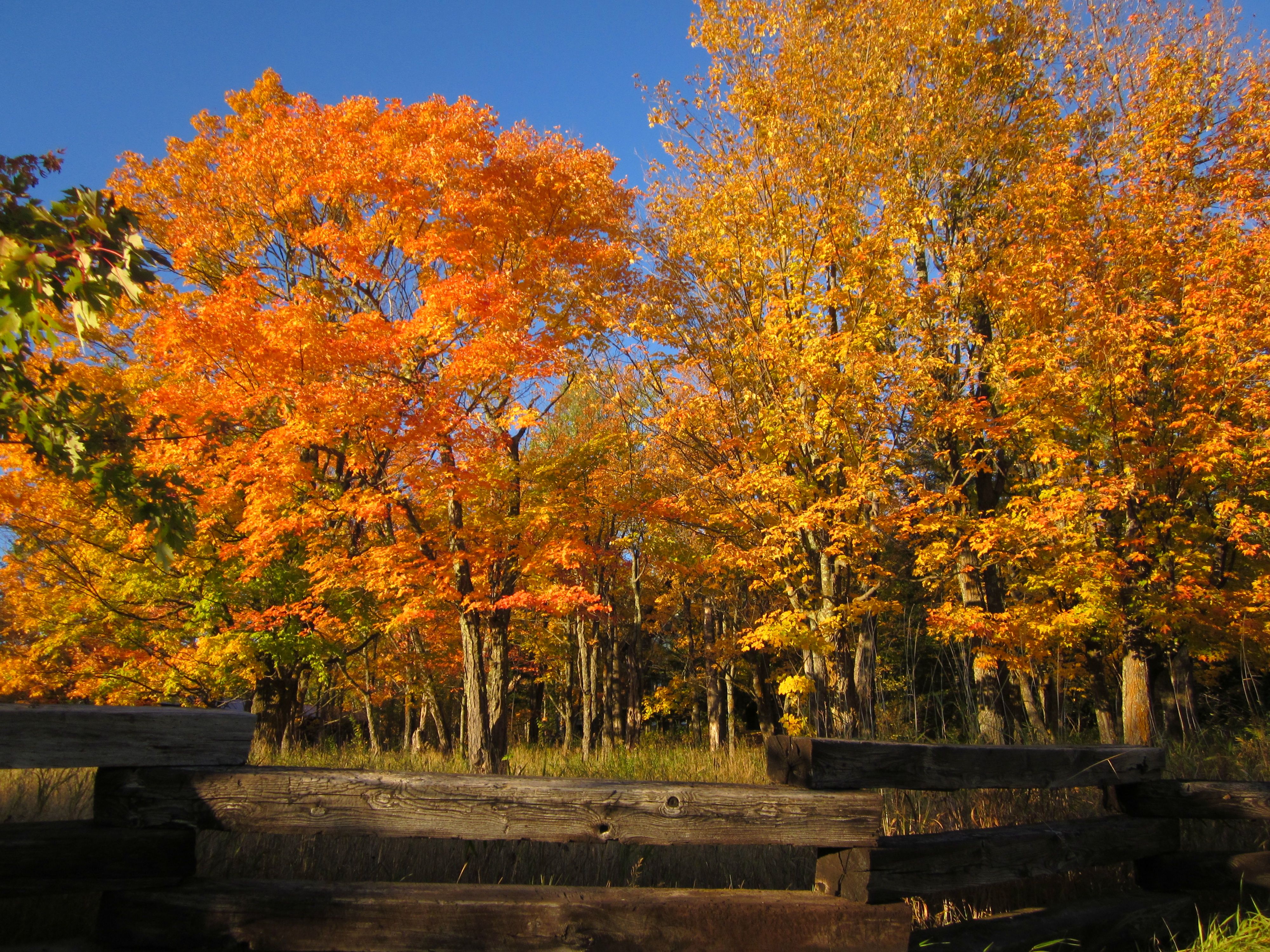 Best Spots For Fall Colors In The Iron Range