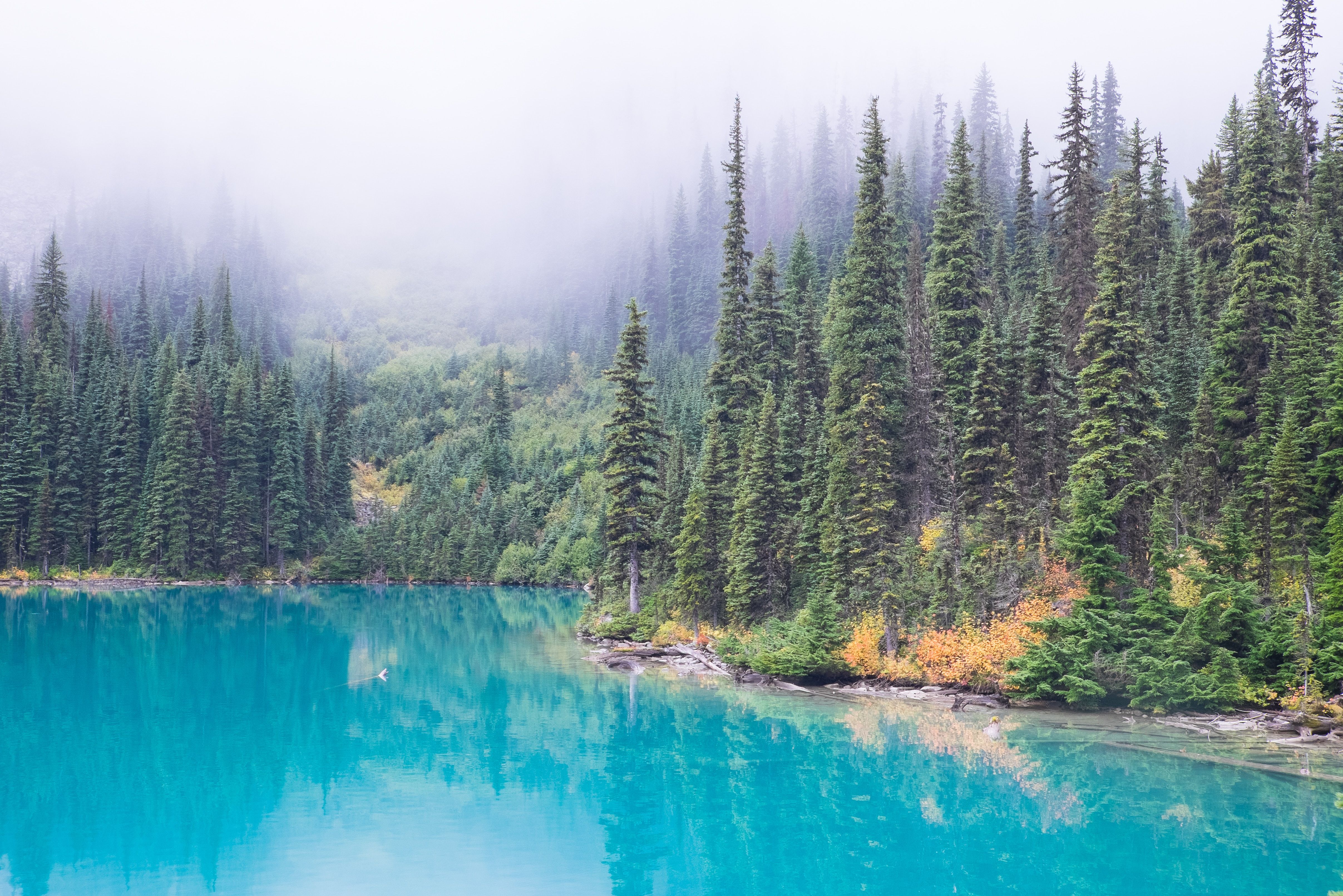 4828x3219 #blue, #glacier, #turquoise, #nature, #river, #water, # autumn, #vancouver, #british columbium, #PNG image, #cloudy, #mist, #joffre lake, #lake, #forest, #camping, #fog, #reflection, #pine, #canada, #tree. Mocah.org HD Desktop Wallpaper