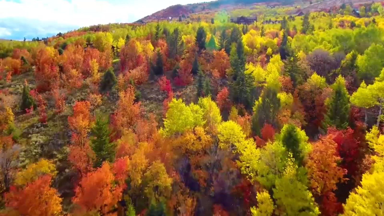 Breathtaking Drone Footage Captures Fall Foliage Raleigh Durham