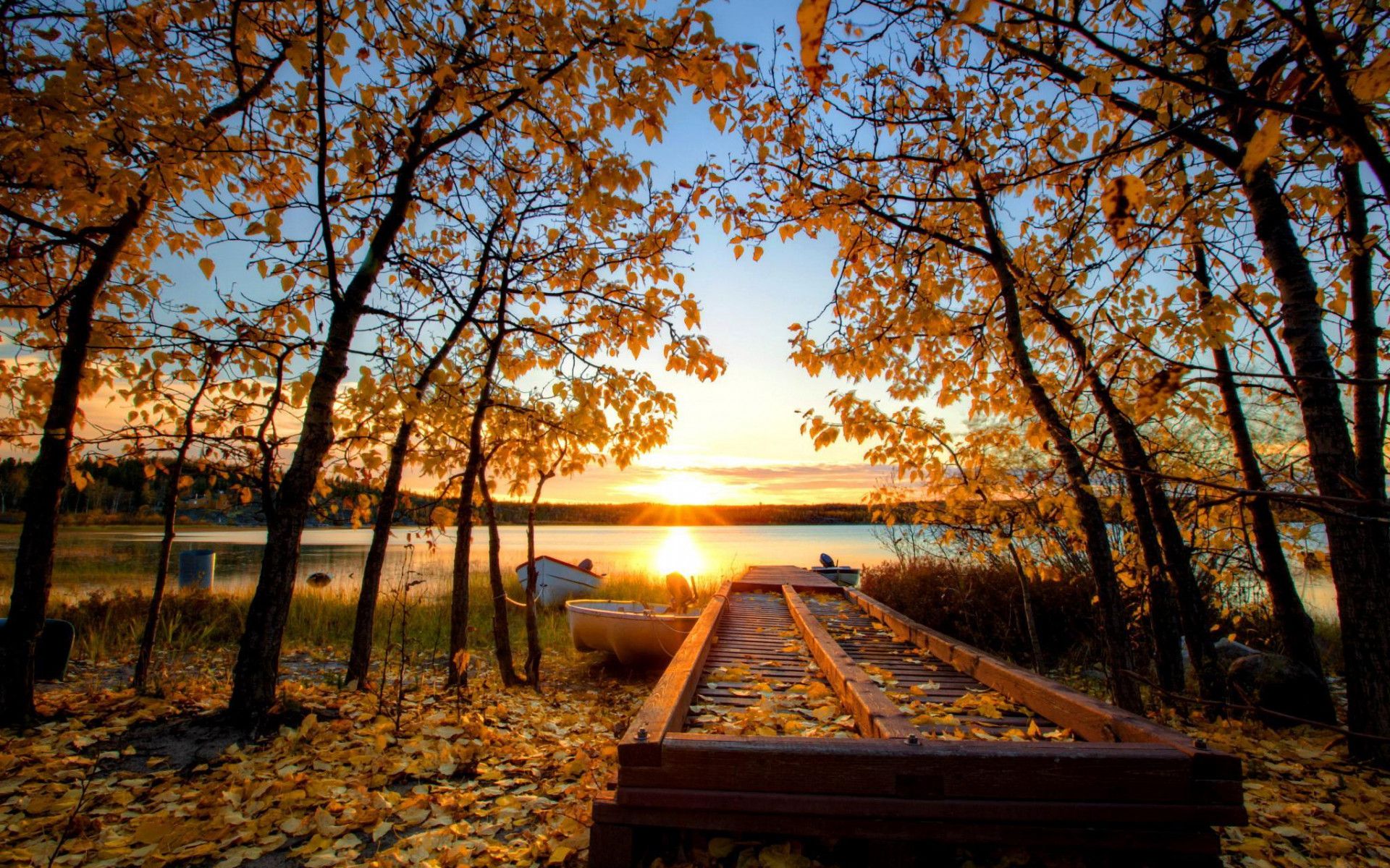 Autumn Sun Over The Riverbank HD desktop wallpaper, Widescreen, High Definition