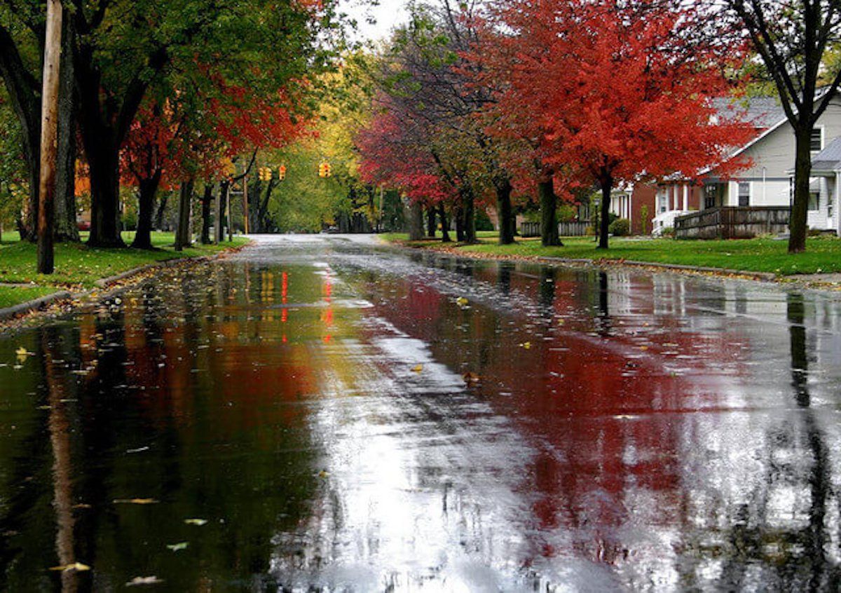 Cold Rainy Fall Day HD Wallpaper