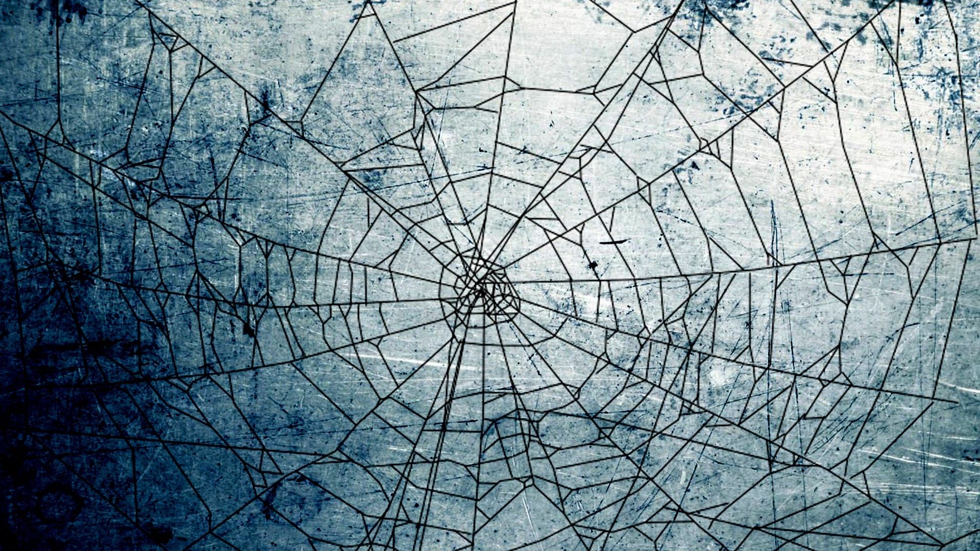 Halloween Spider Web Background HD Wallpaper 34774