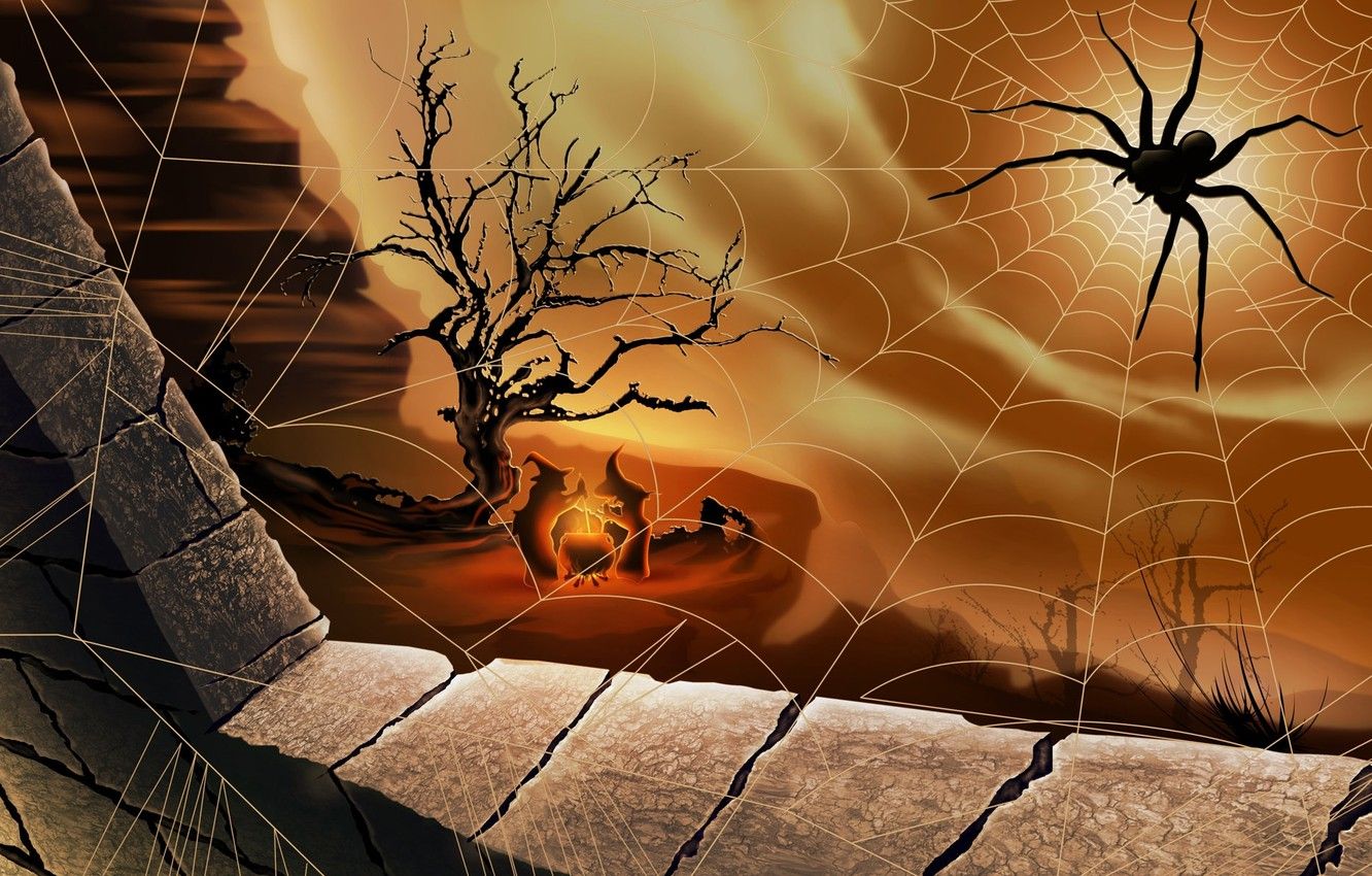 Wallpaper spider, Halloween, witches image for desktop, section праздники