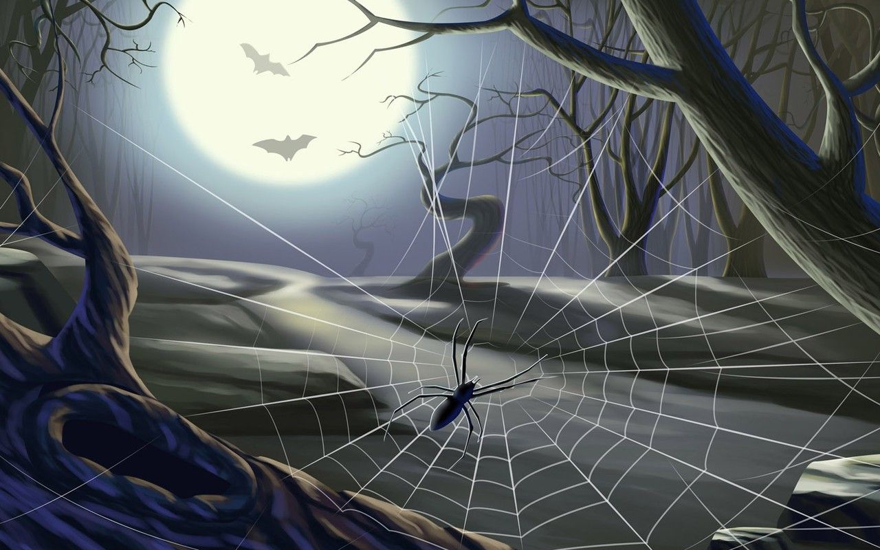 Free download Spider web on Halloween wallpaper 11201 [1280x800] for your Desktop, Mobile & Tablet. Explore Spider Web Wallpaper for Walls. HD Spider Wallpaper, Spider Web Wallpaper HD, Free Spider Wallpaper