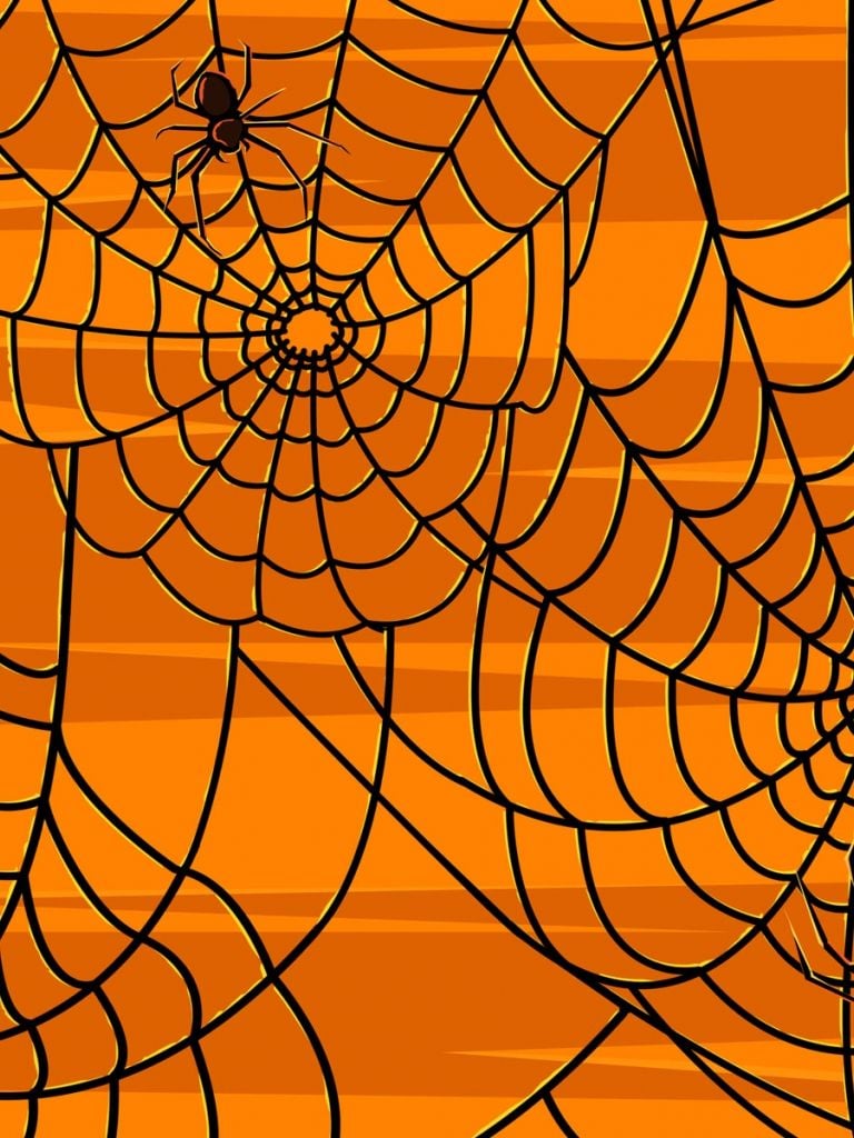 Free download 45 Scary Halloween 2012 HD Wallpaper Pumpkins Witches Spider Web [1920x1200] for your Desktop, Mobile & Tablet. Explore Spider Web Wallpaper HD. Spider Man Wallpaper, Spiderman Wallpaper