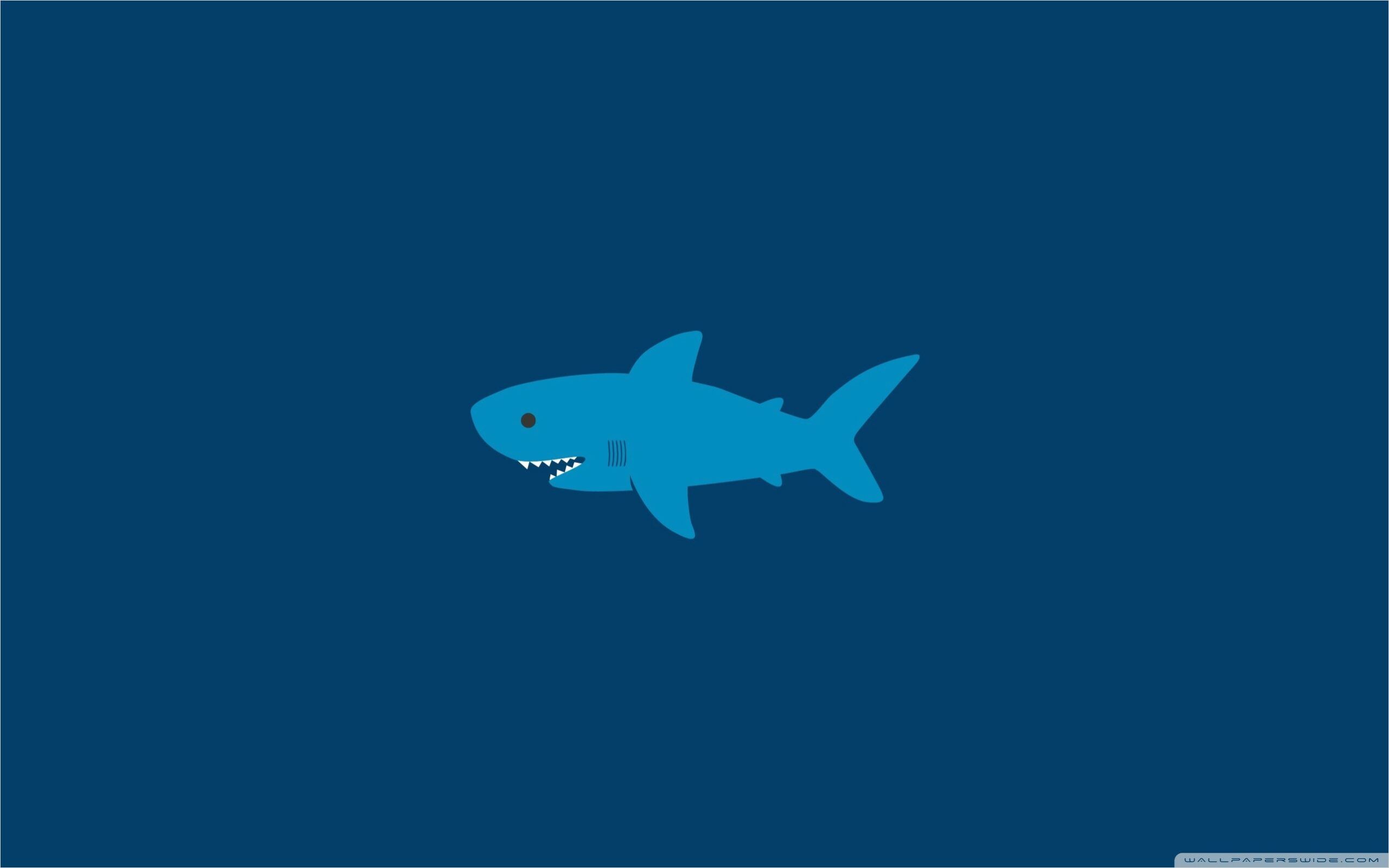 4k Cartoon Shark Wallpaper. Cartoon wallpaper hd, Shark picture, Cartoon wallpaper