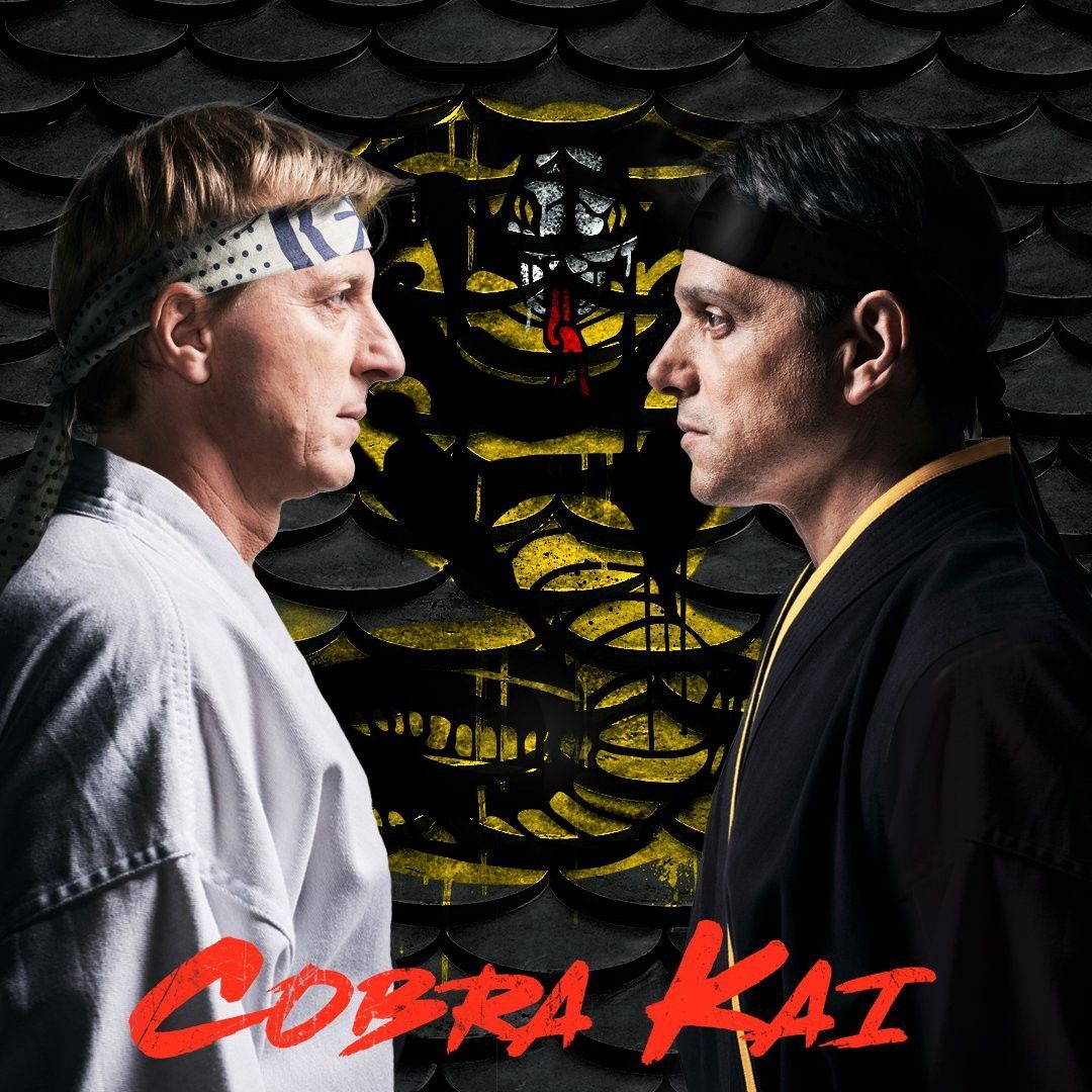 Is this the true Cobra Kai? #cobrakai #johnnylawrence #daniellarusso. Karate kid cobra kai, Karate kid movie, The karate kid 1984