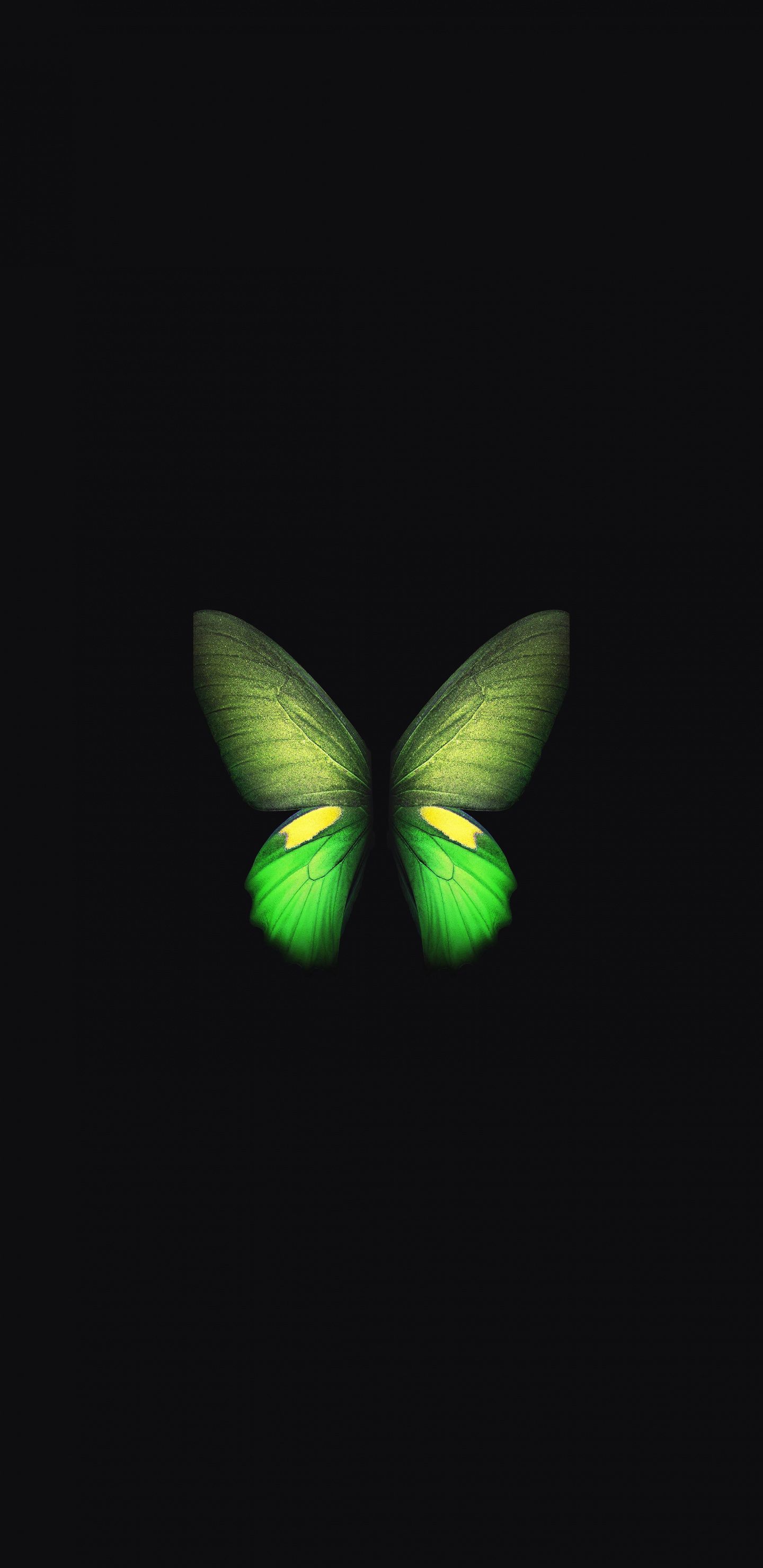 Free download Download Samsung Galaxy Fold Butterfly green wallpapers [1440x2960] for your Desktop, Mobile & Tablet