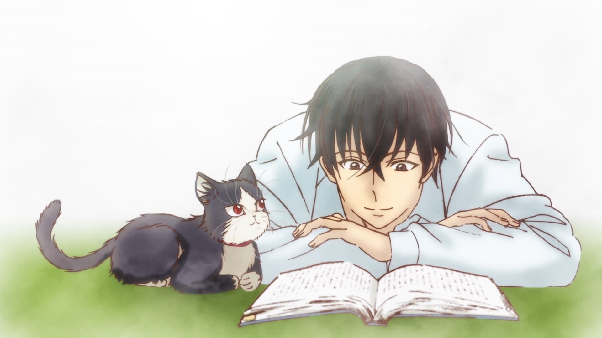 My Roommate is a Cat' and the importance of character arcs